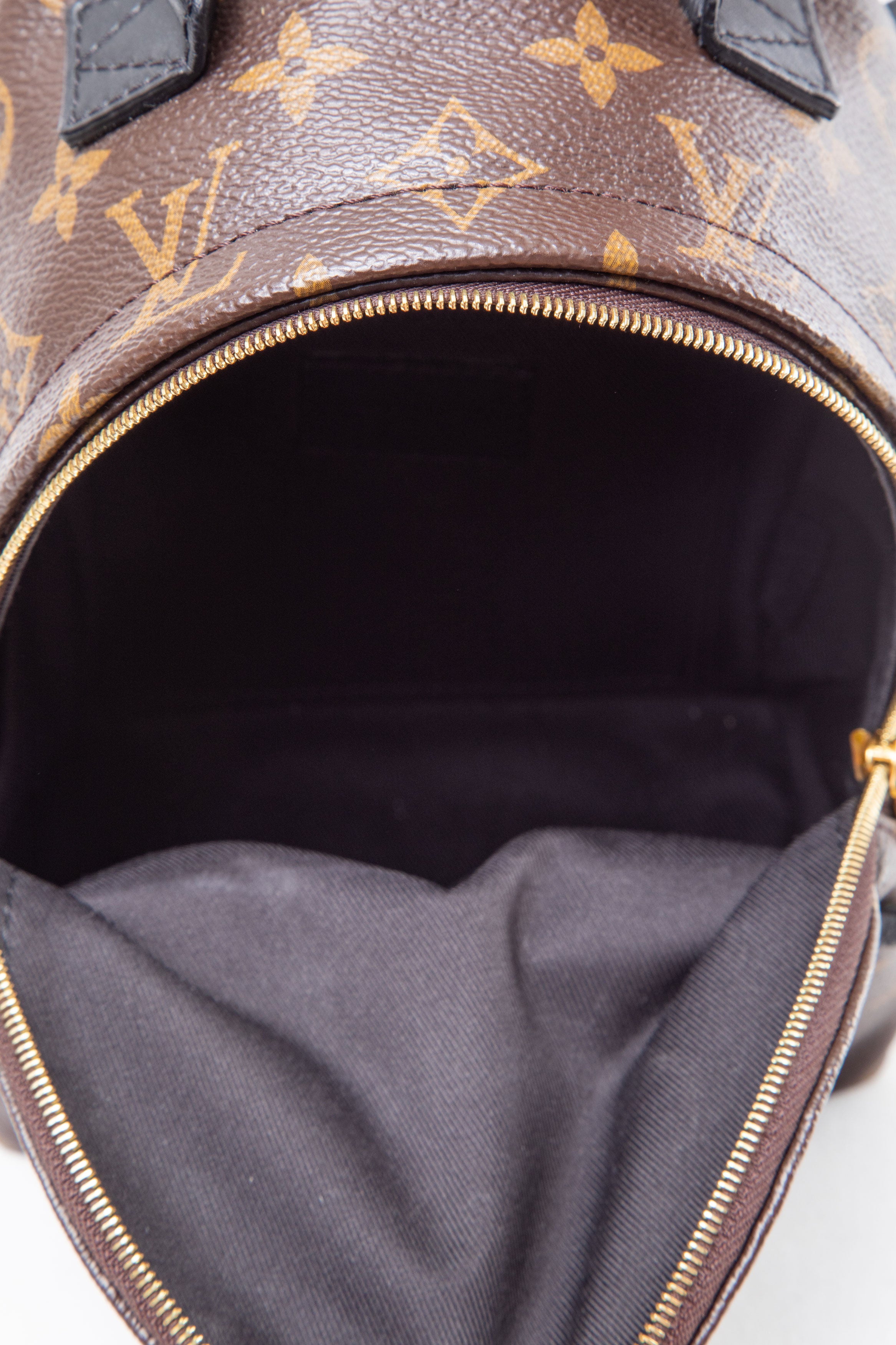 Louis Vuitton 2022 Monogram Palm Springs Mini Backpack