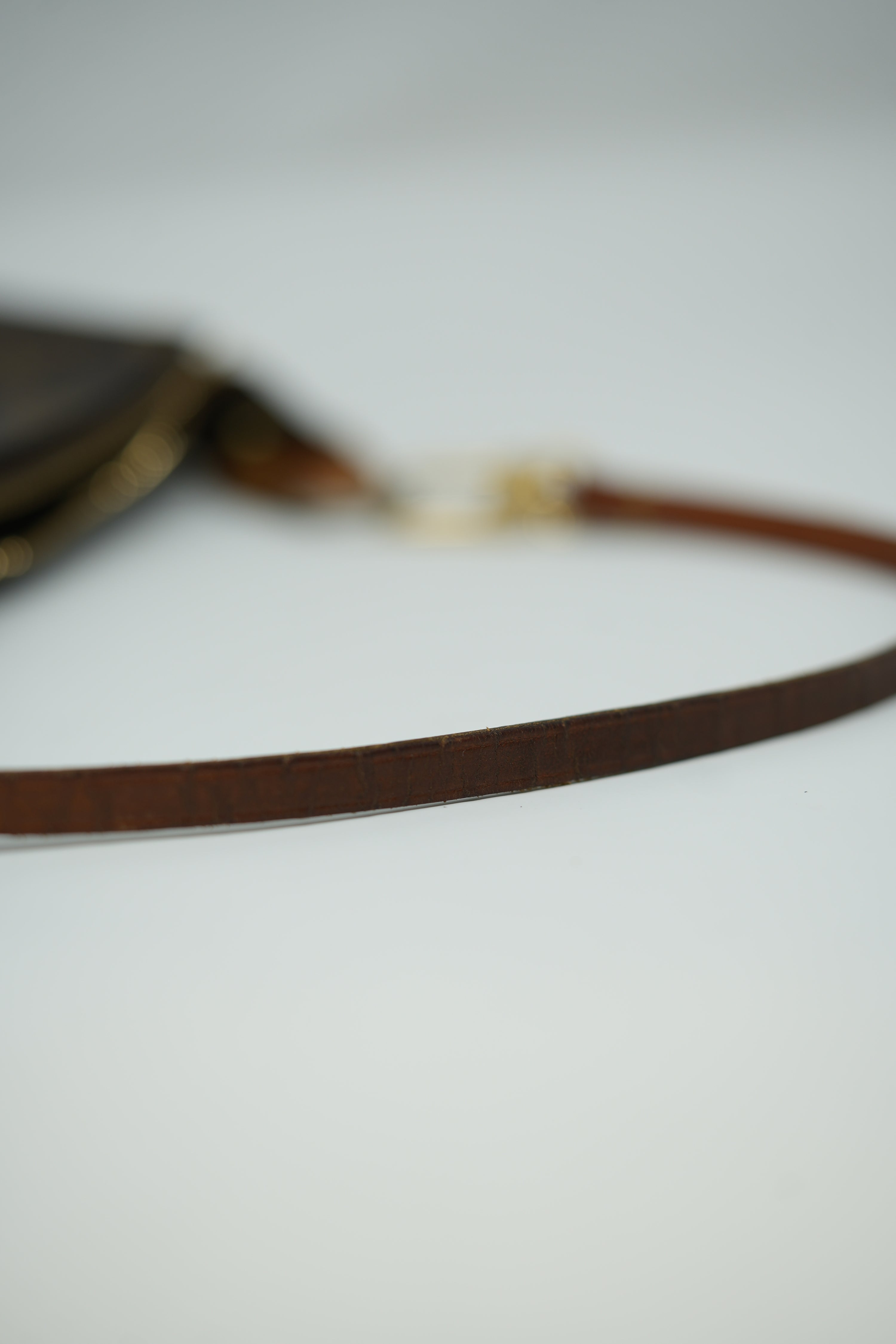 Louis Vuitton Pochette Accessories