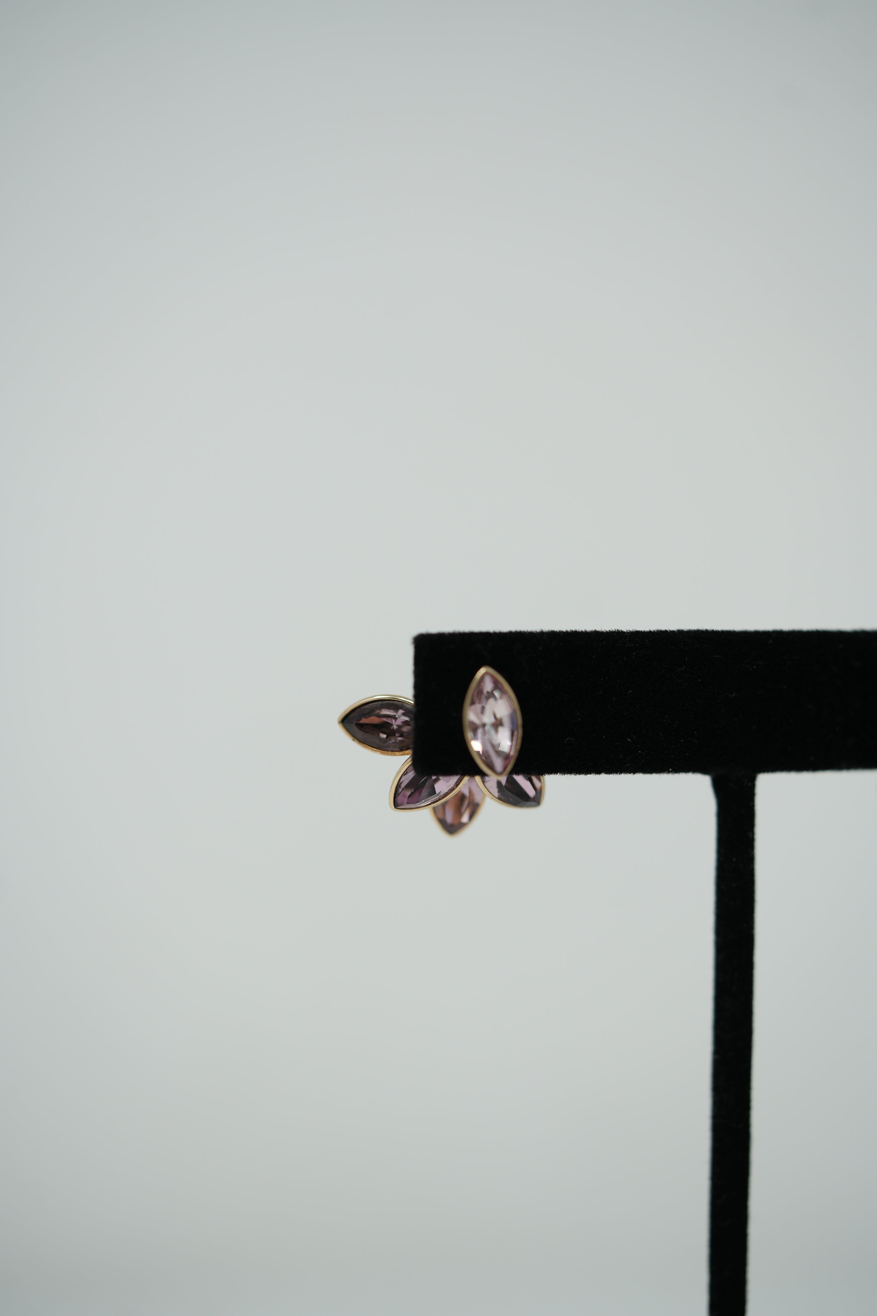 Dior Flower Crystal Earrings
