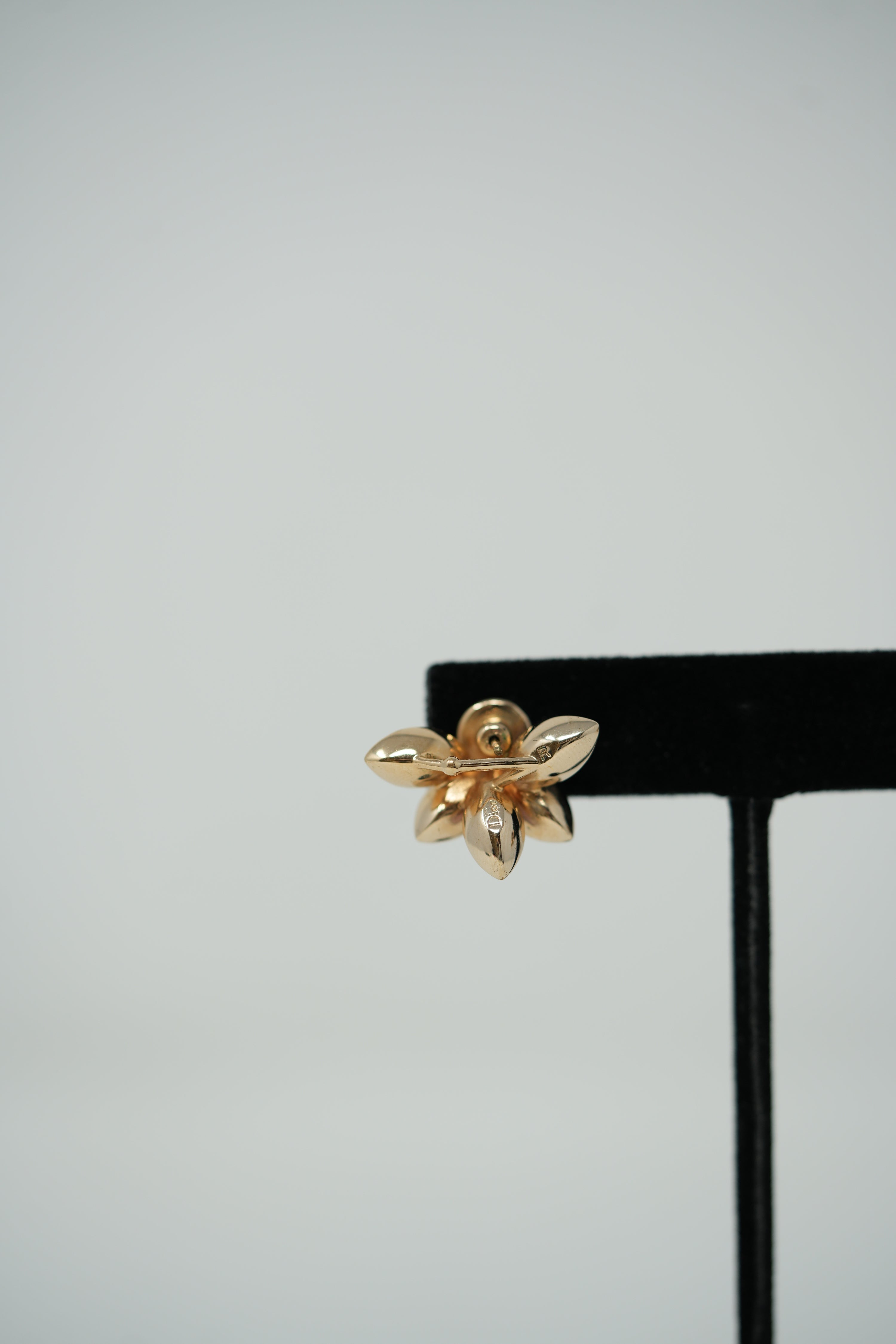 Dior Flower Crystal Earrings