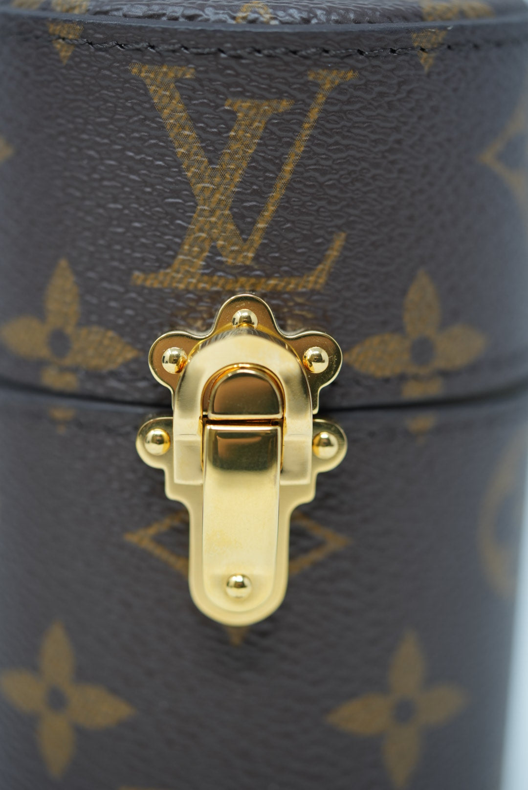 Louis Vuitton Monograme Travel Case