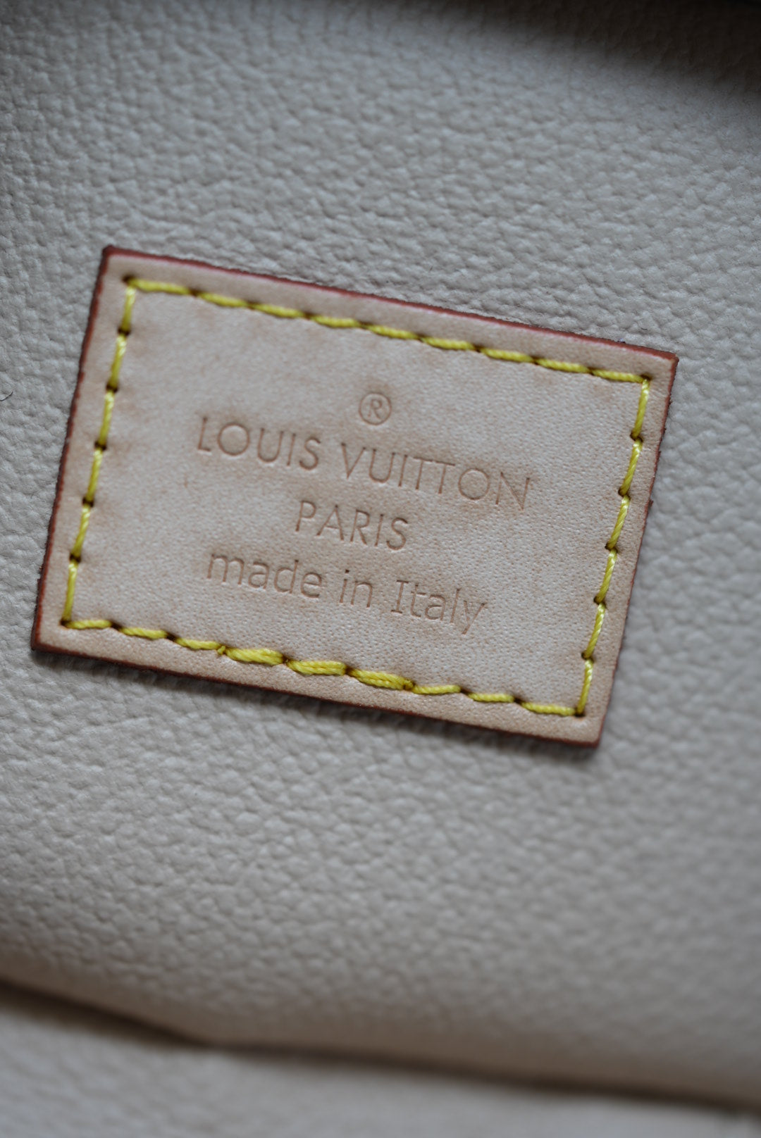 Louis Vuitton Monogram Nano Nice
