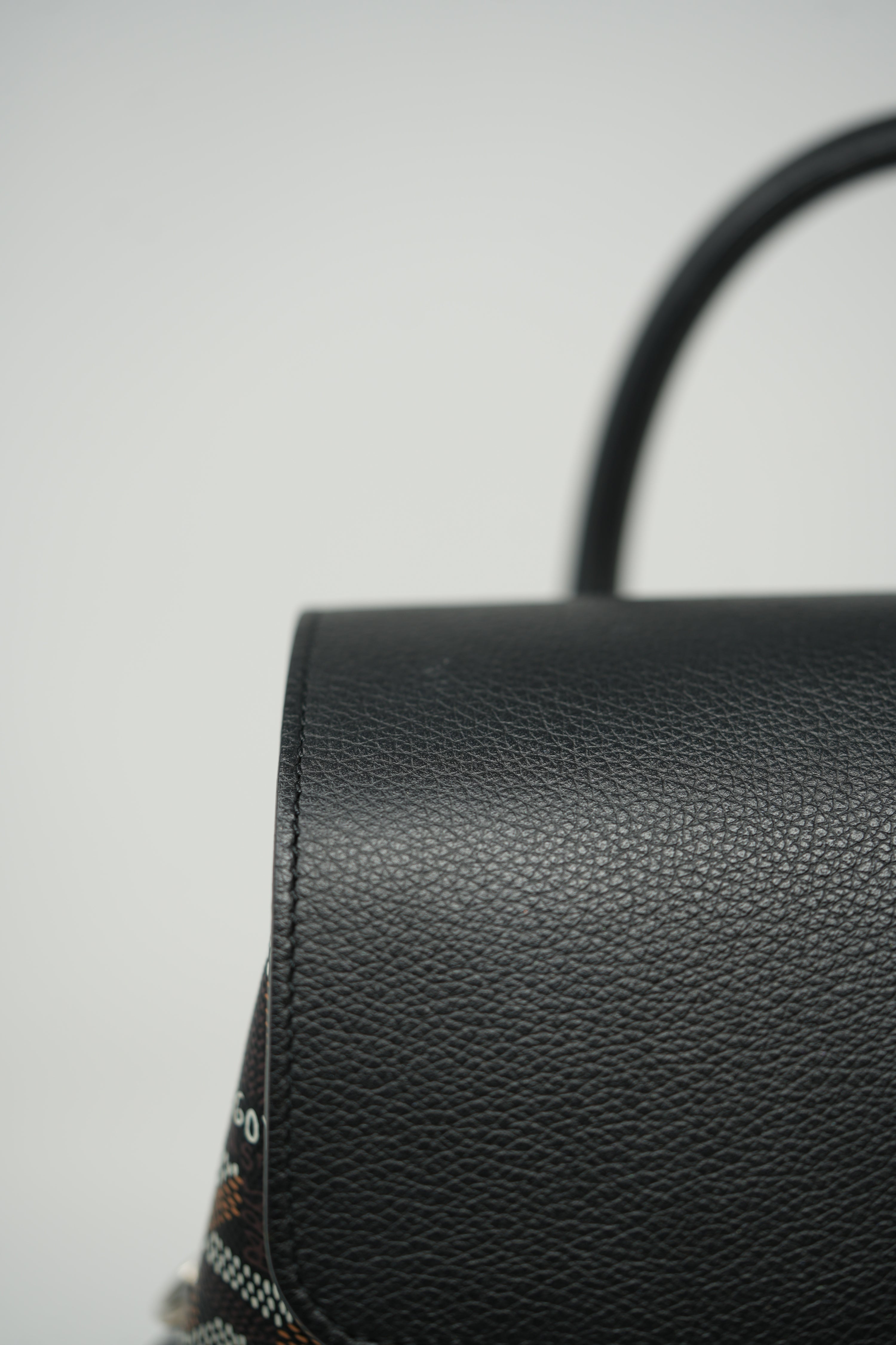 Goyard Goyardine Calfskin Mini Alpin Backpack Black