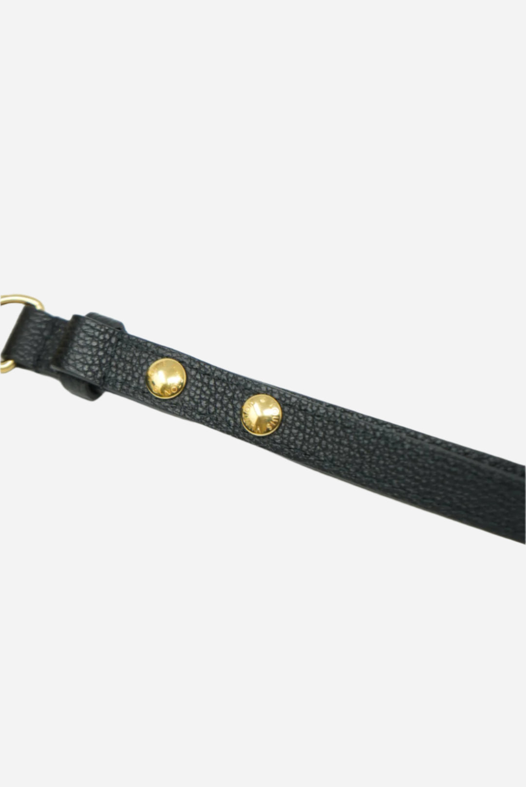 Louis Vuitton Favorite Monogram Leather