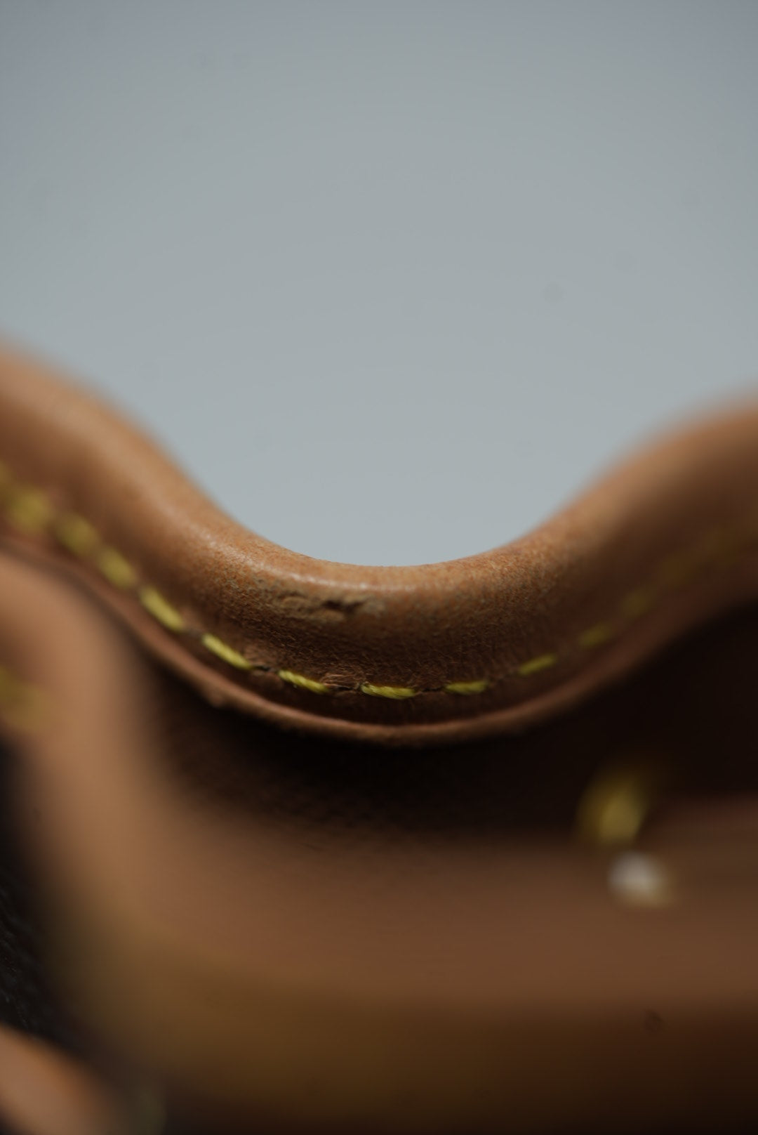 Louis Vuitton Monogram Nano Noe 2020