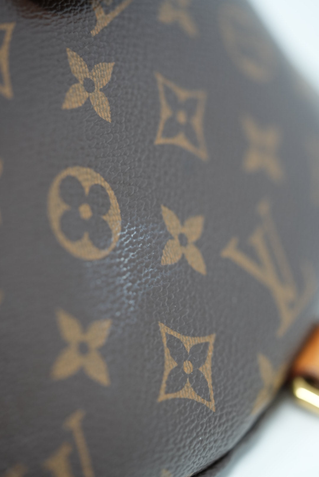 Louis Vuitton Monogram Bumbag 2019
