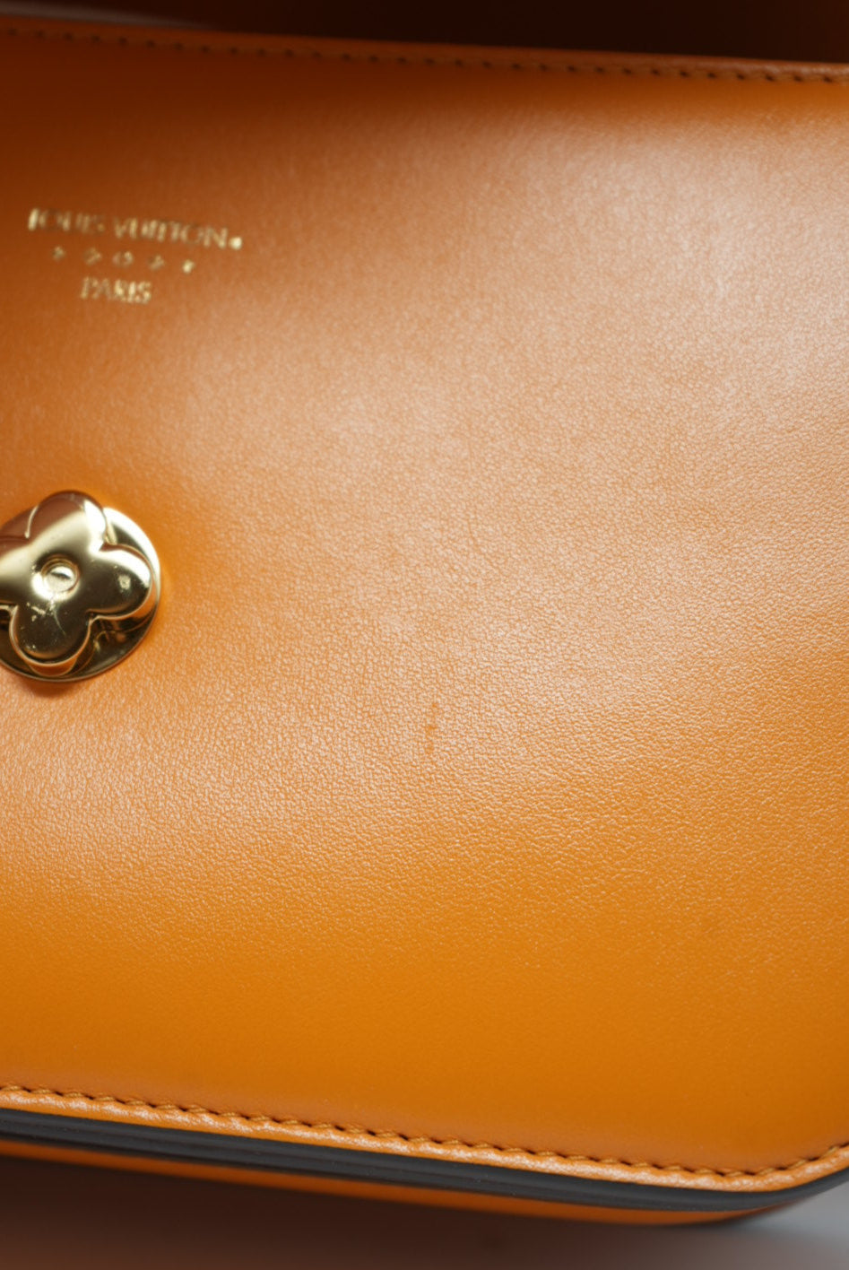 LOUIS VUITTON Smooth Calfskin Pont 9 Handbag