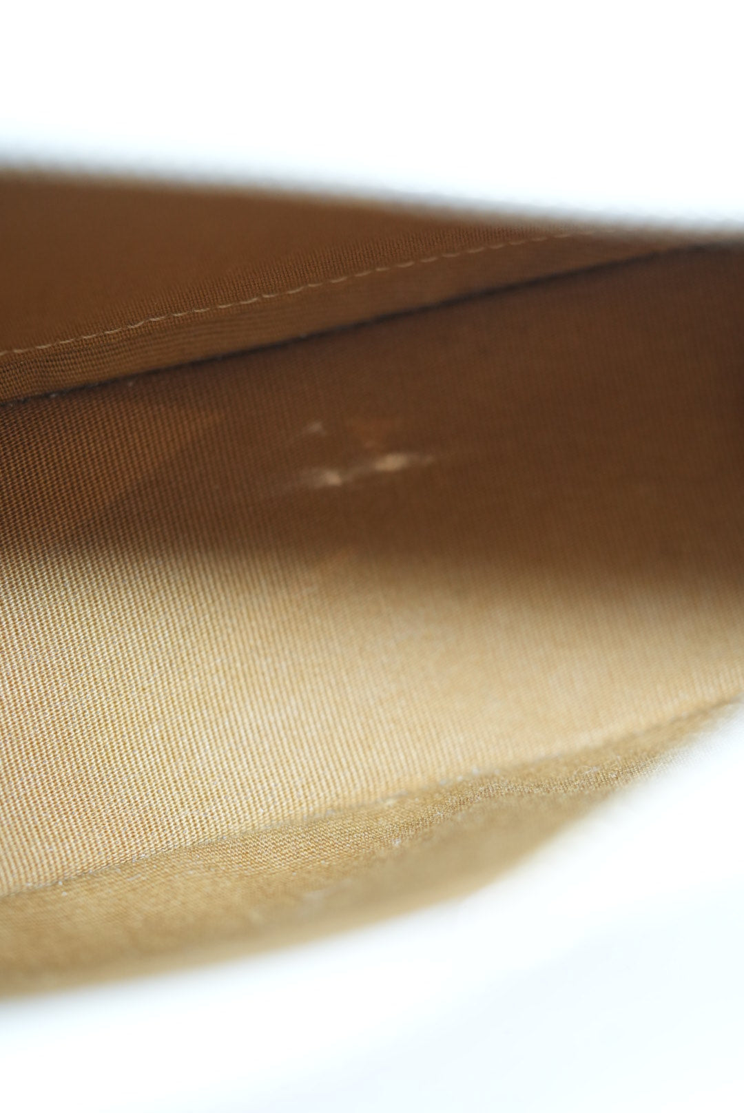 Celine AVA BAG IN TRIOMPHE CANVAS