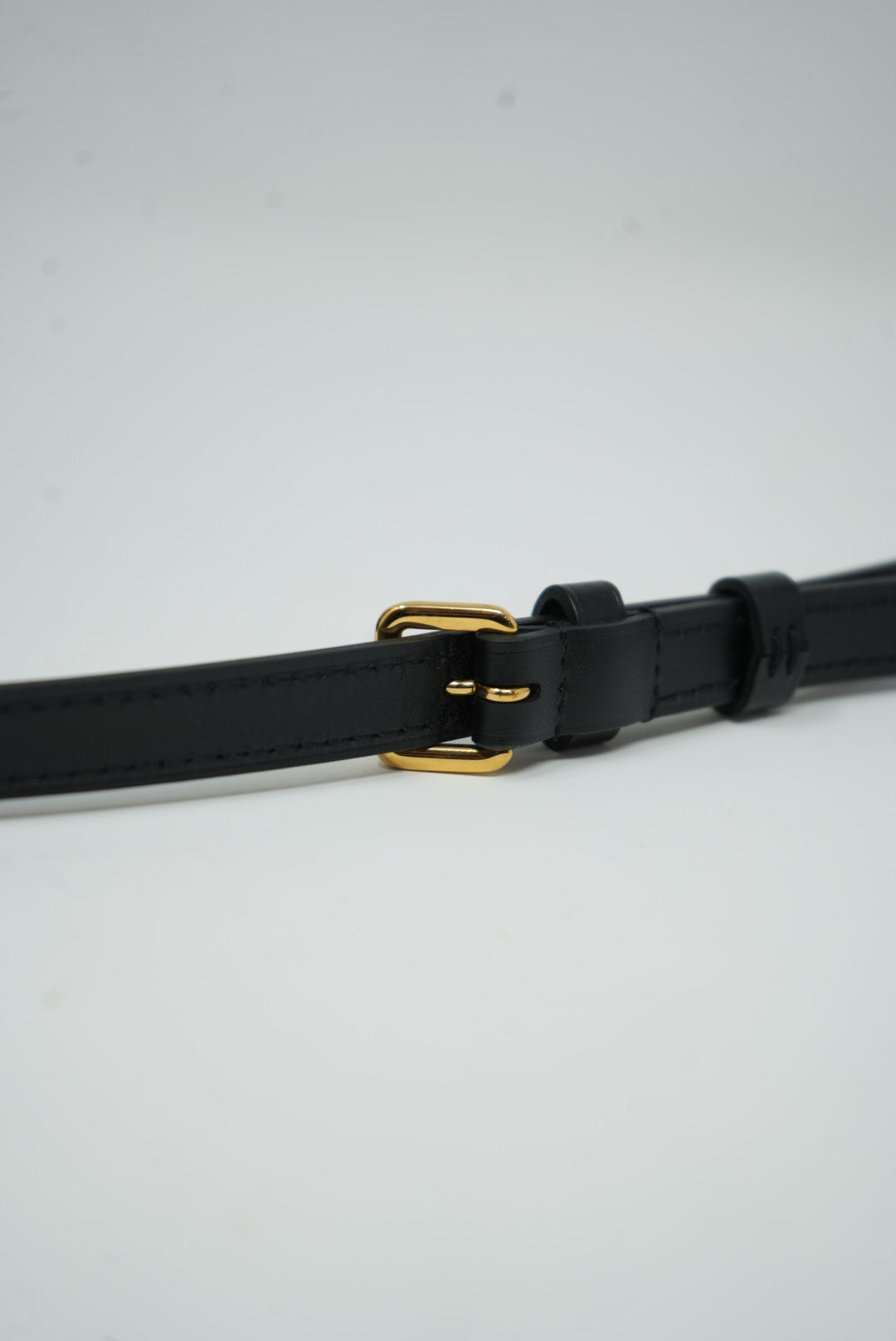 LOUIS VUITTON CANNES BAG 2018