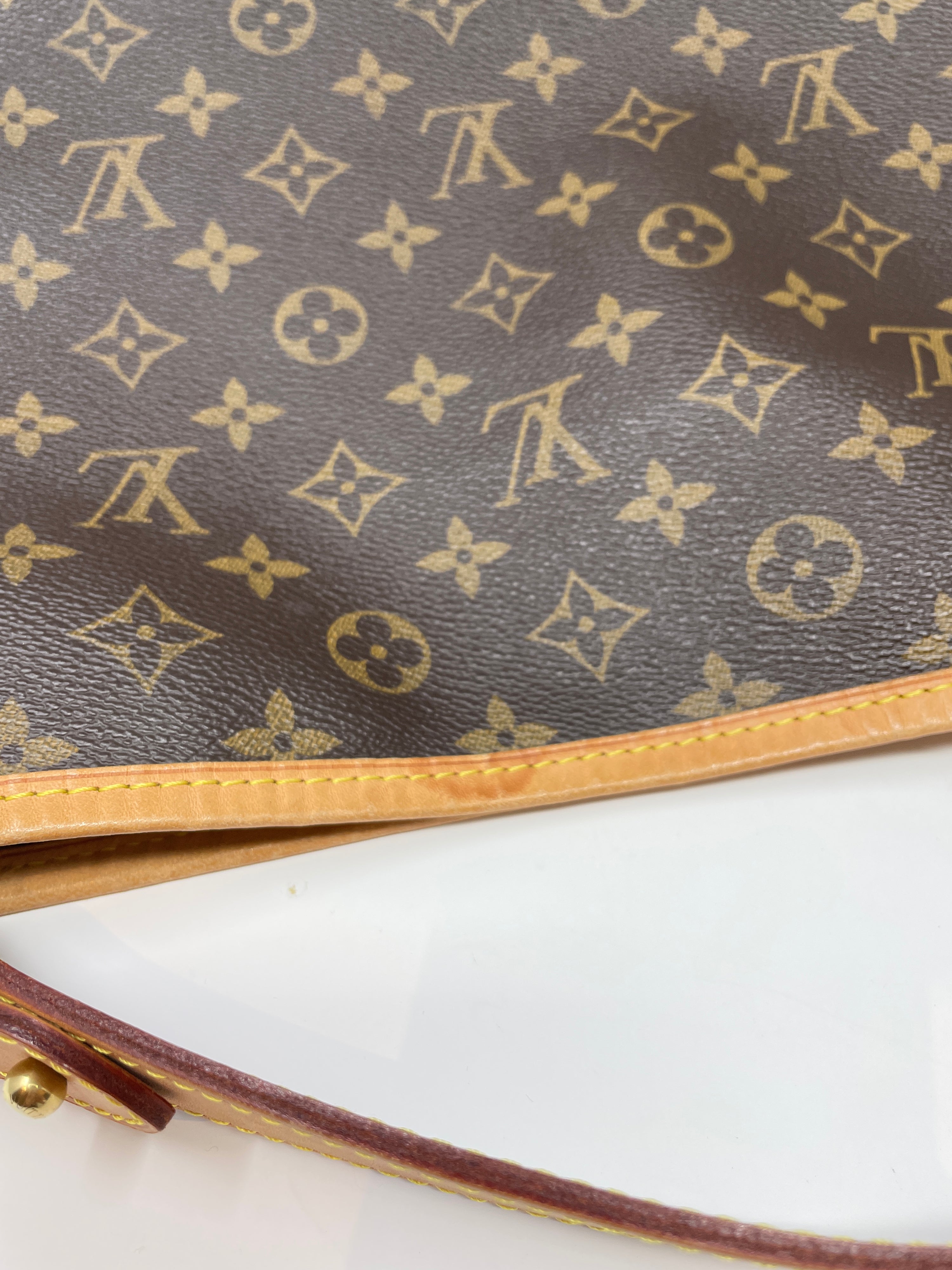 Louis Vuitton Delightful Monogram