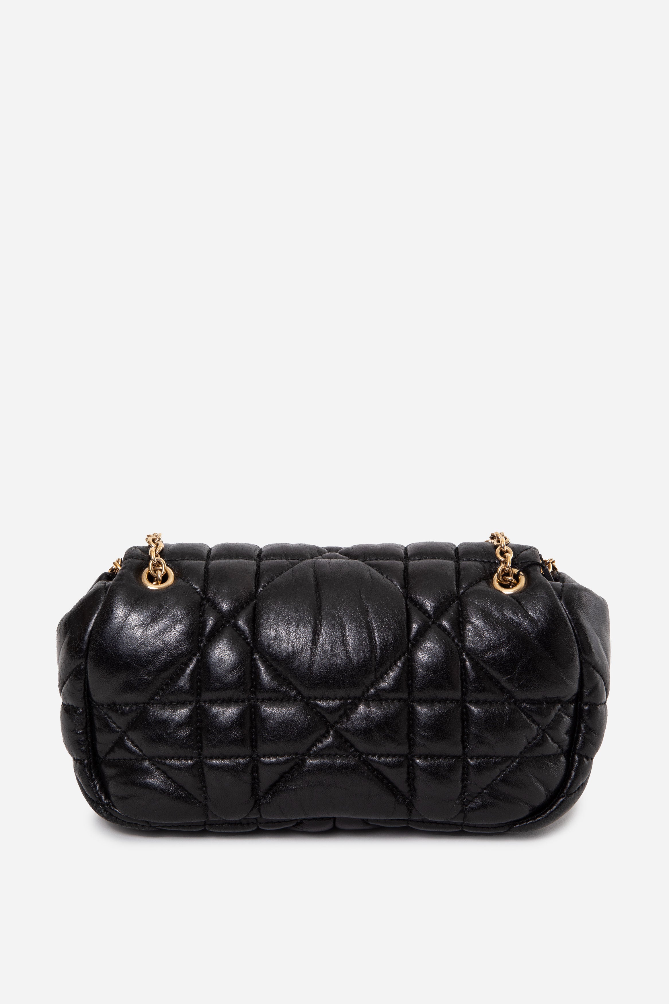 Christian Dior 2012 Mini Milly La Foret Flap Bag