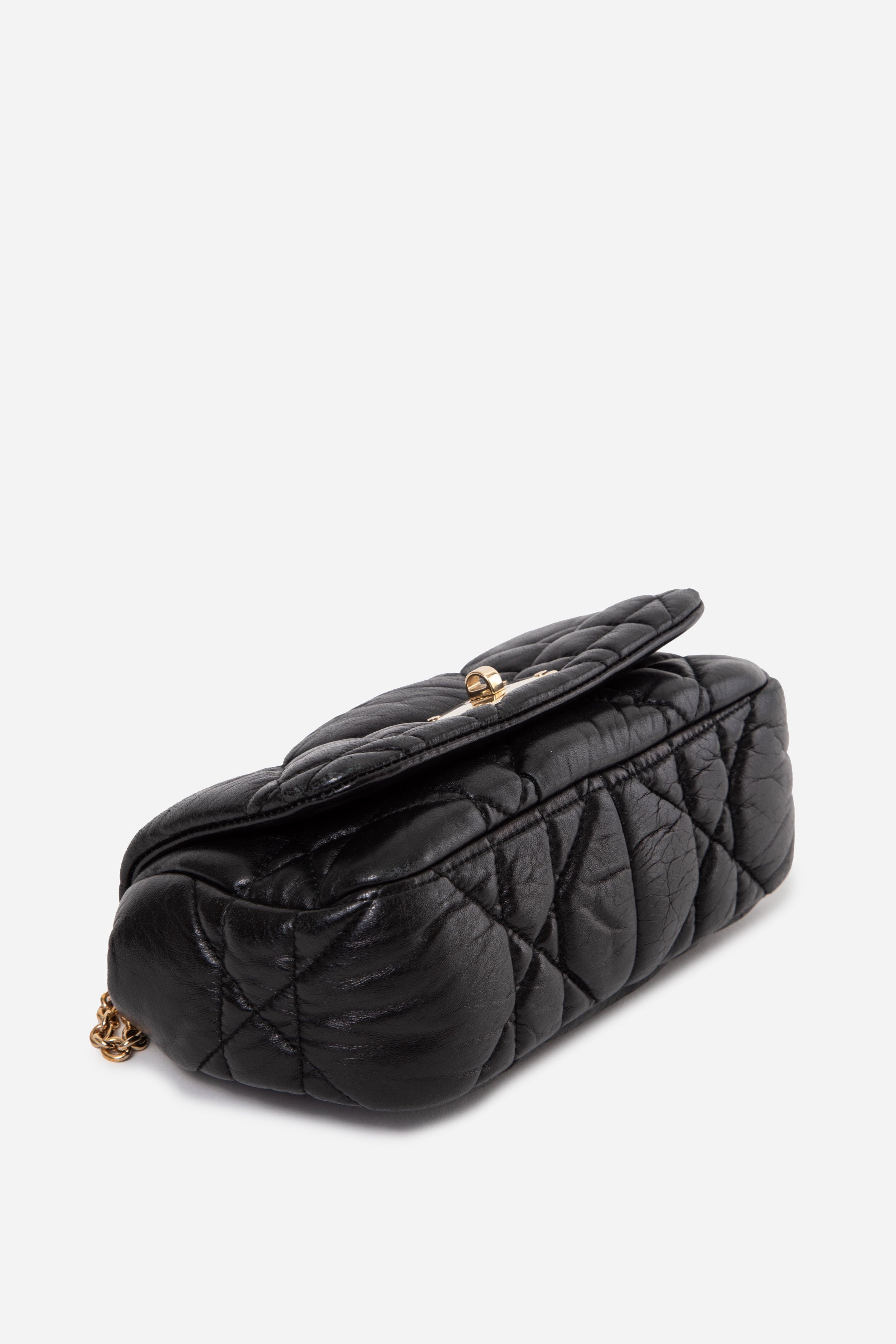 Christian Dior 2012 Mini Milly La Foret Flap Bag