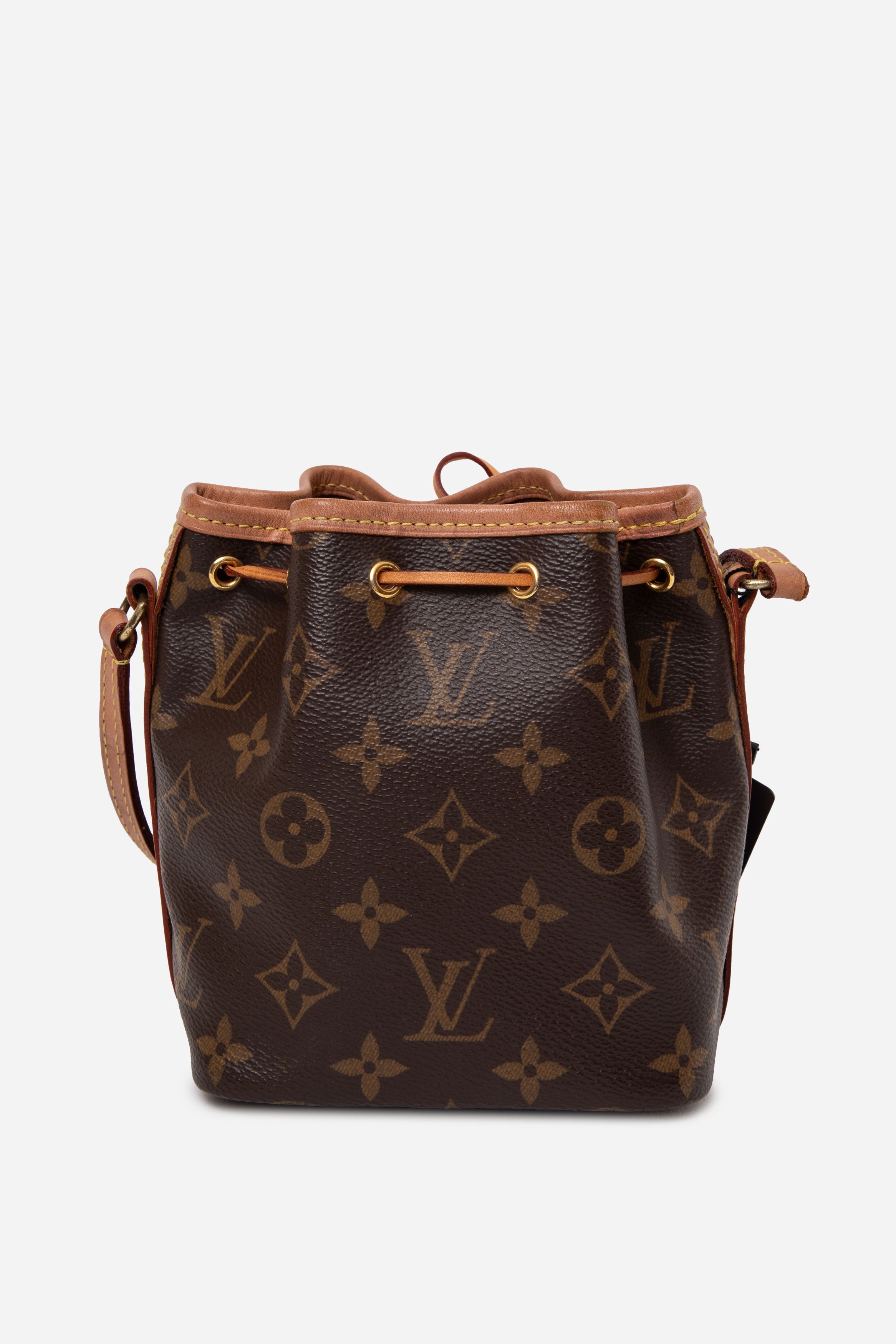 Louis Vuitton 2020 Monogram Nano Noe Crossbody Bag