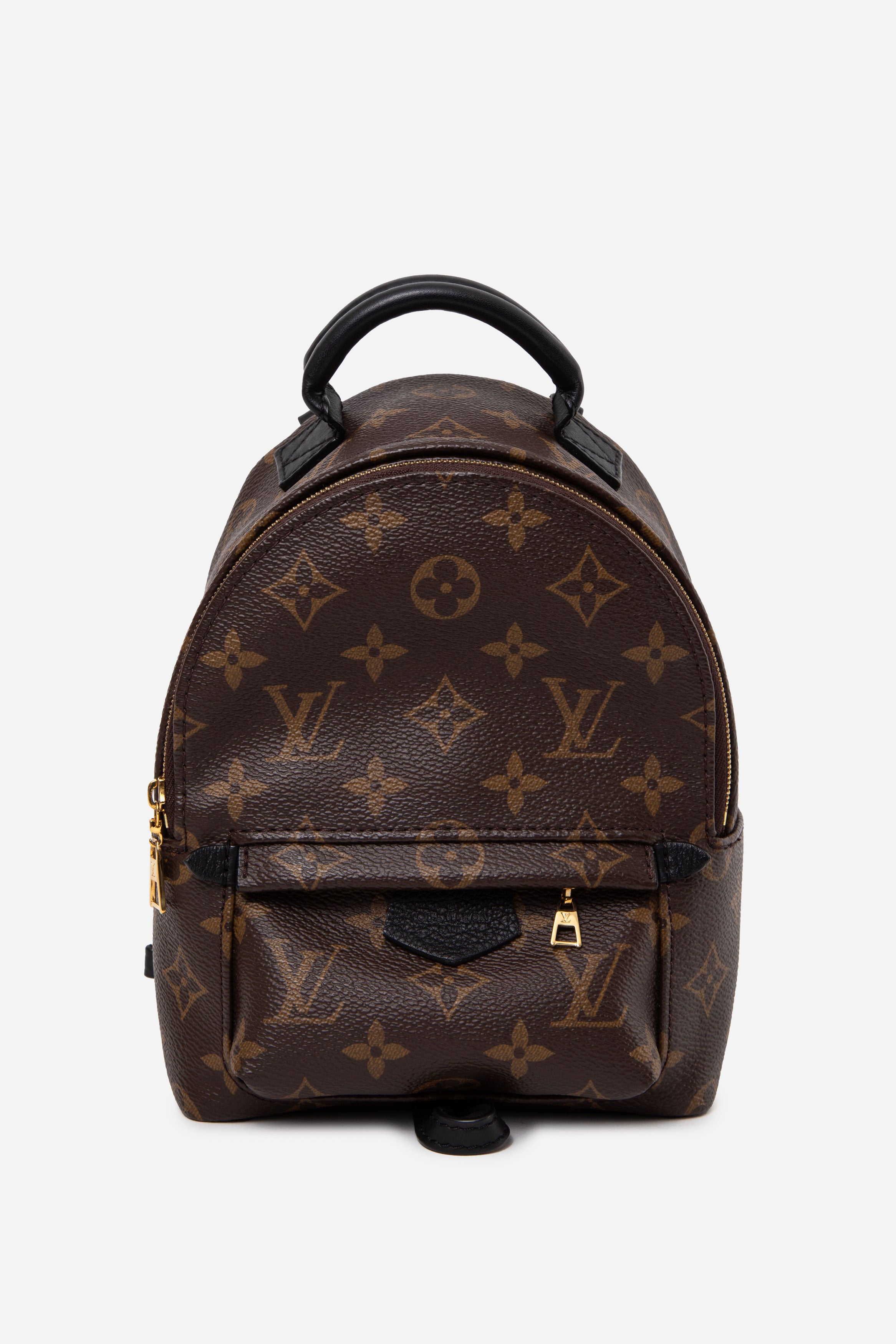 Louis Vuitton 2022 Monogram Palm Springs Mini Backpack