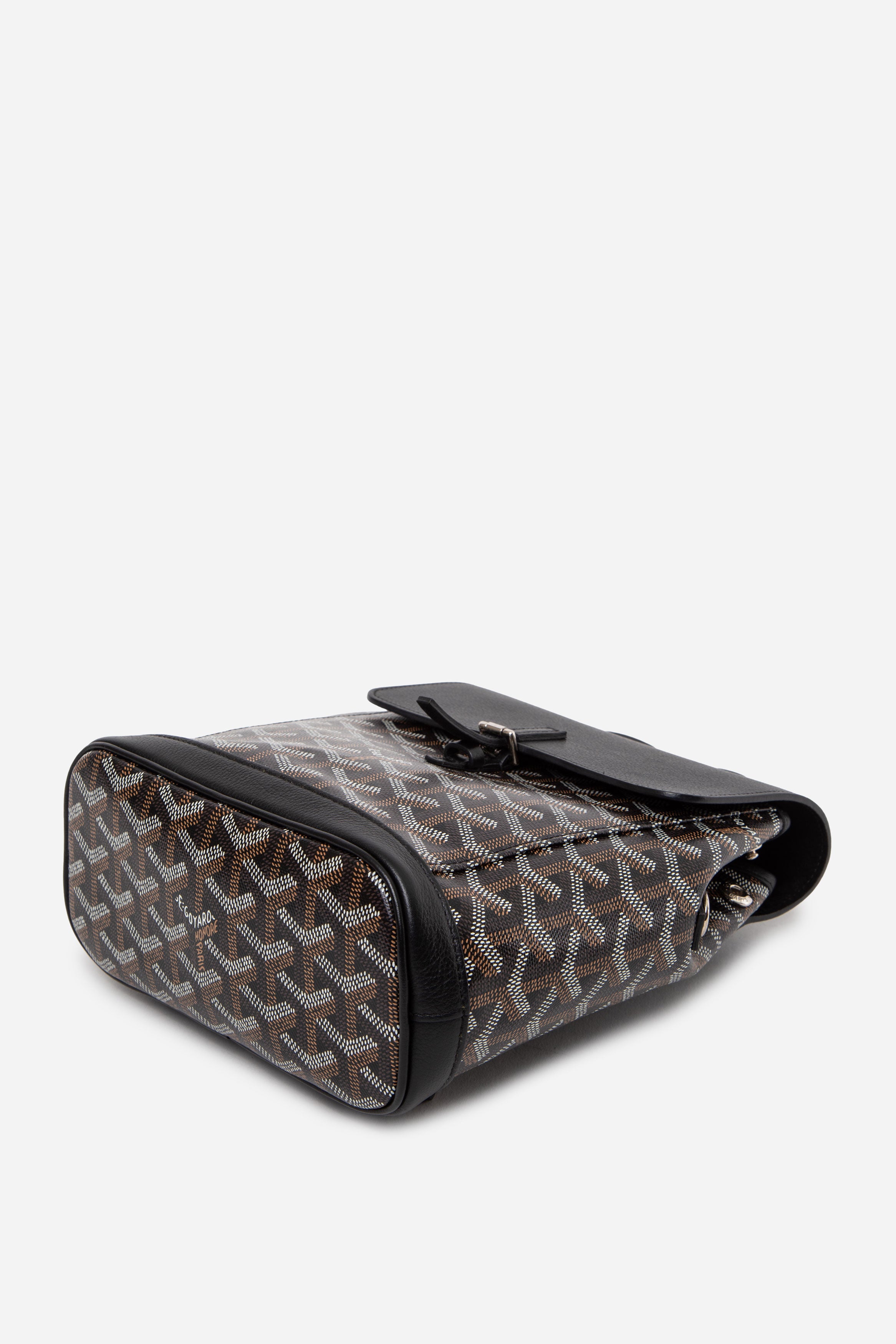 Goyard 2023 Goyardine Calfskin Mini Alpin Backpack Black