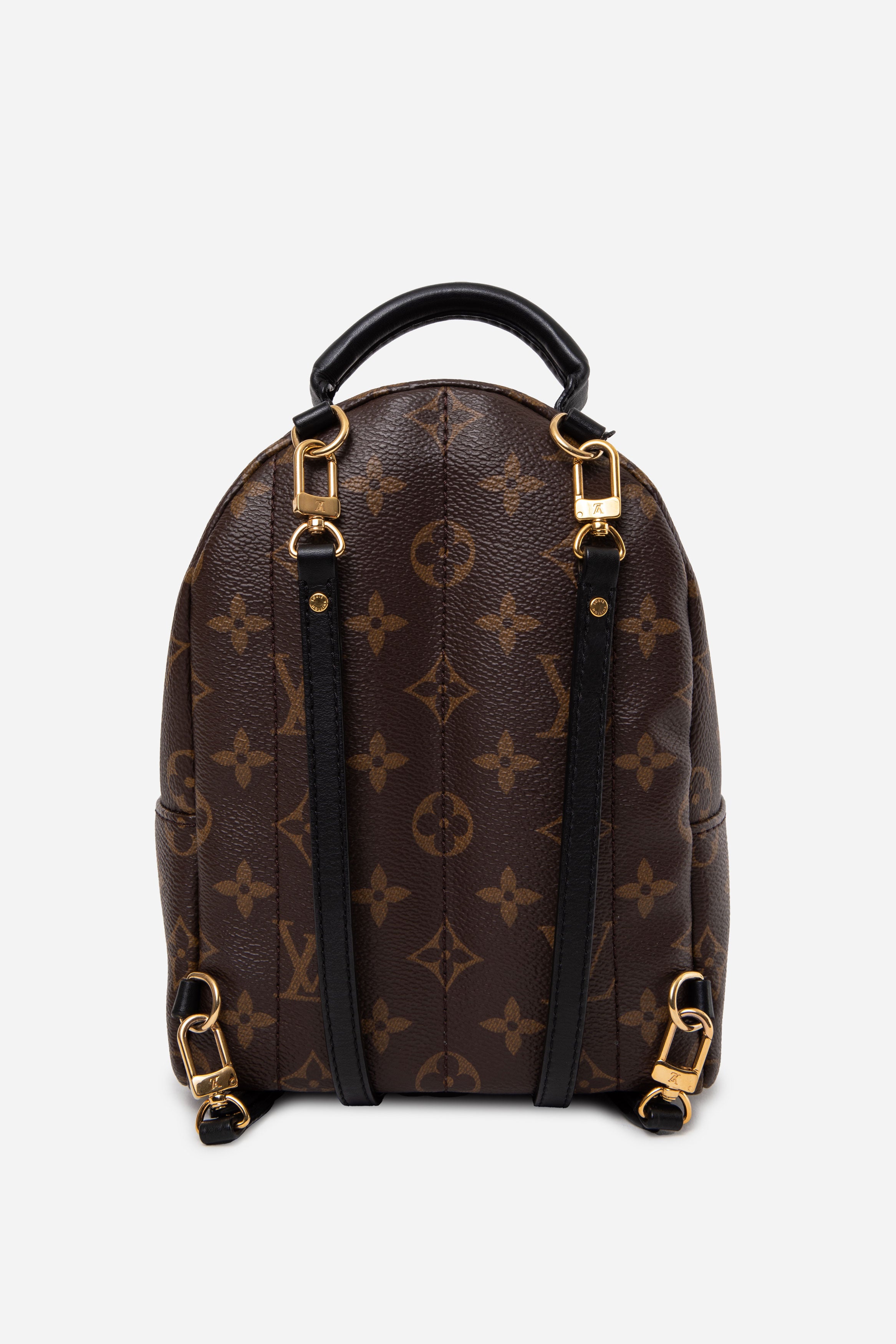 Louis Vuitton 2022 Monogram Palm Springs Mini Backpack