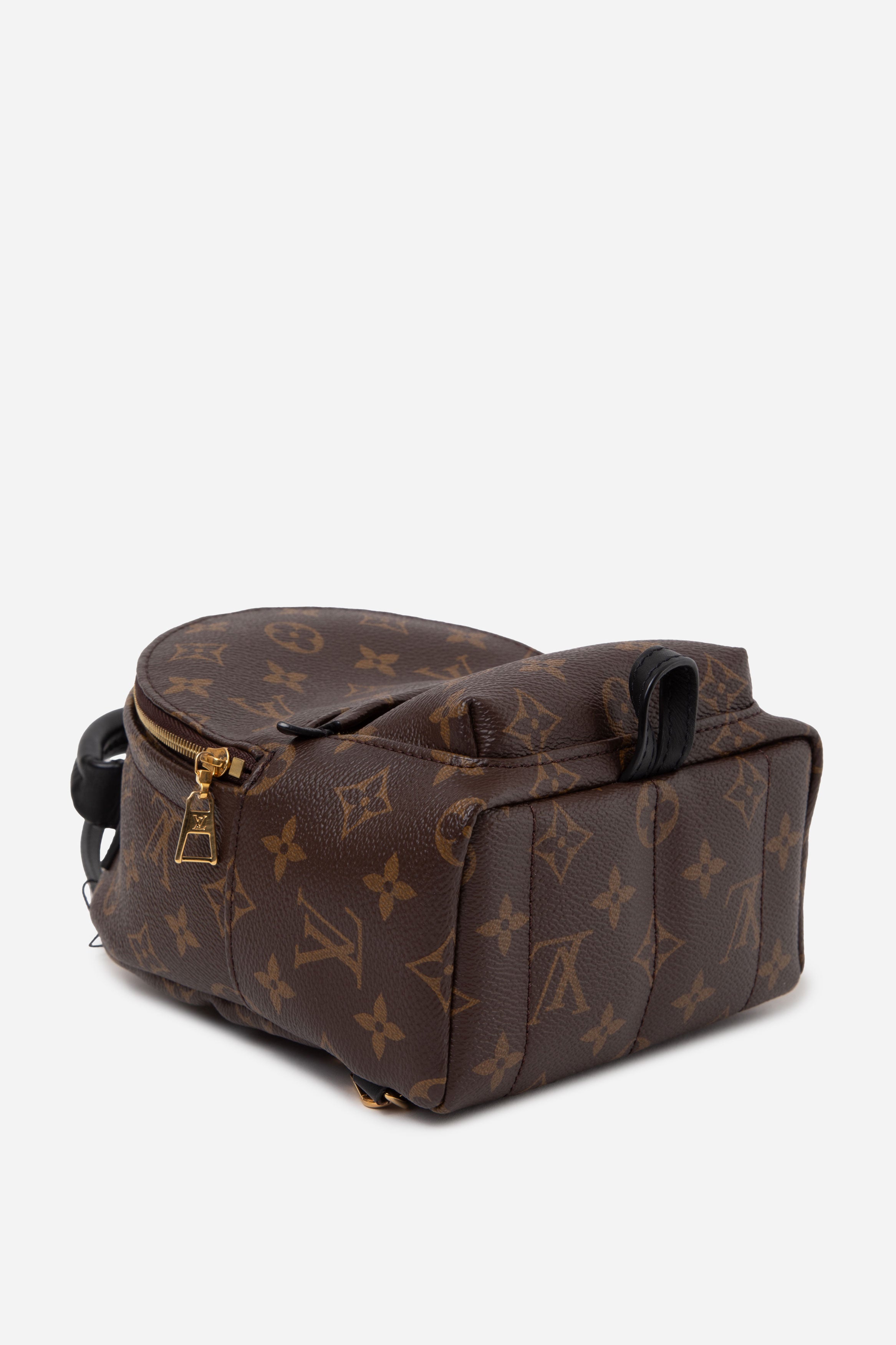 Louis Vuitton 2022 Monogram Palm Springs Mini Backpack