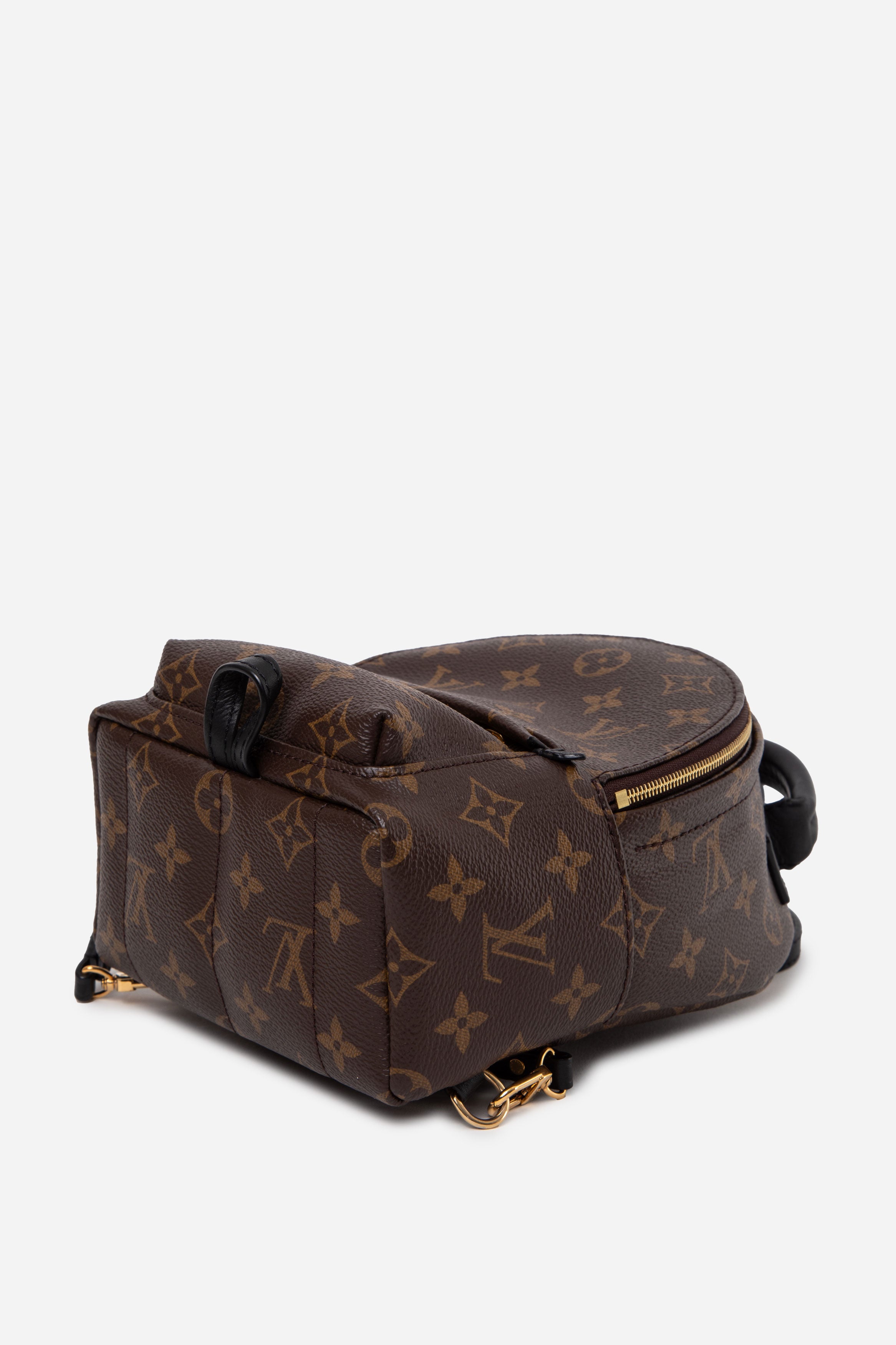 Louis Vuitton 2022 Monogram Palm Springs Mini Backpack