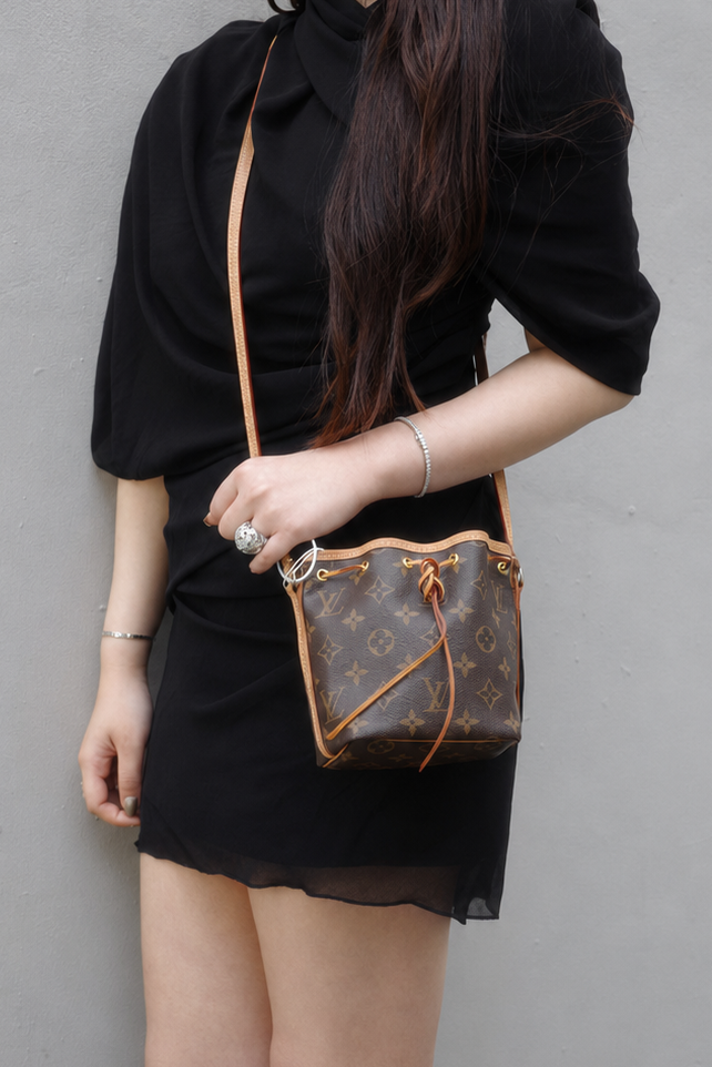 Louis Vuitton 2020 Monogram Nano Noe Crossbody Bag