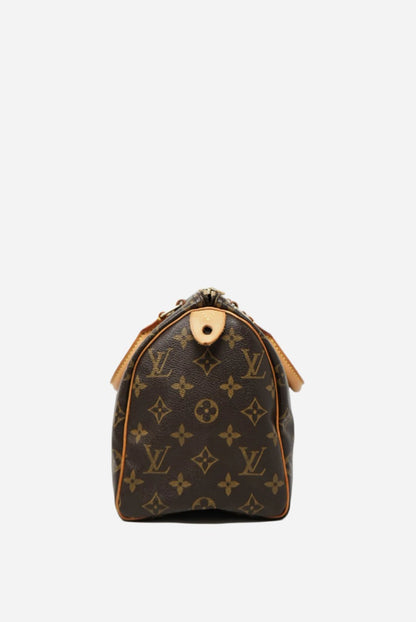 Louis Vuitton Speedy 25 Handbag