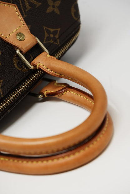 Louis Vuitton Speedy 25 Handbag