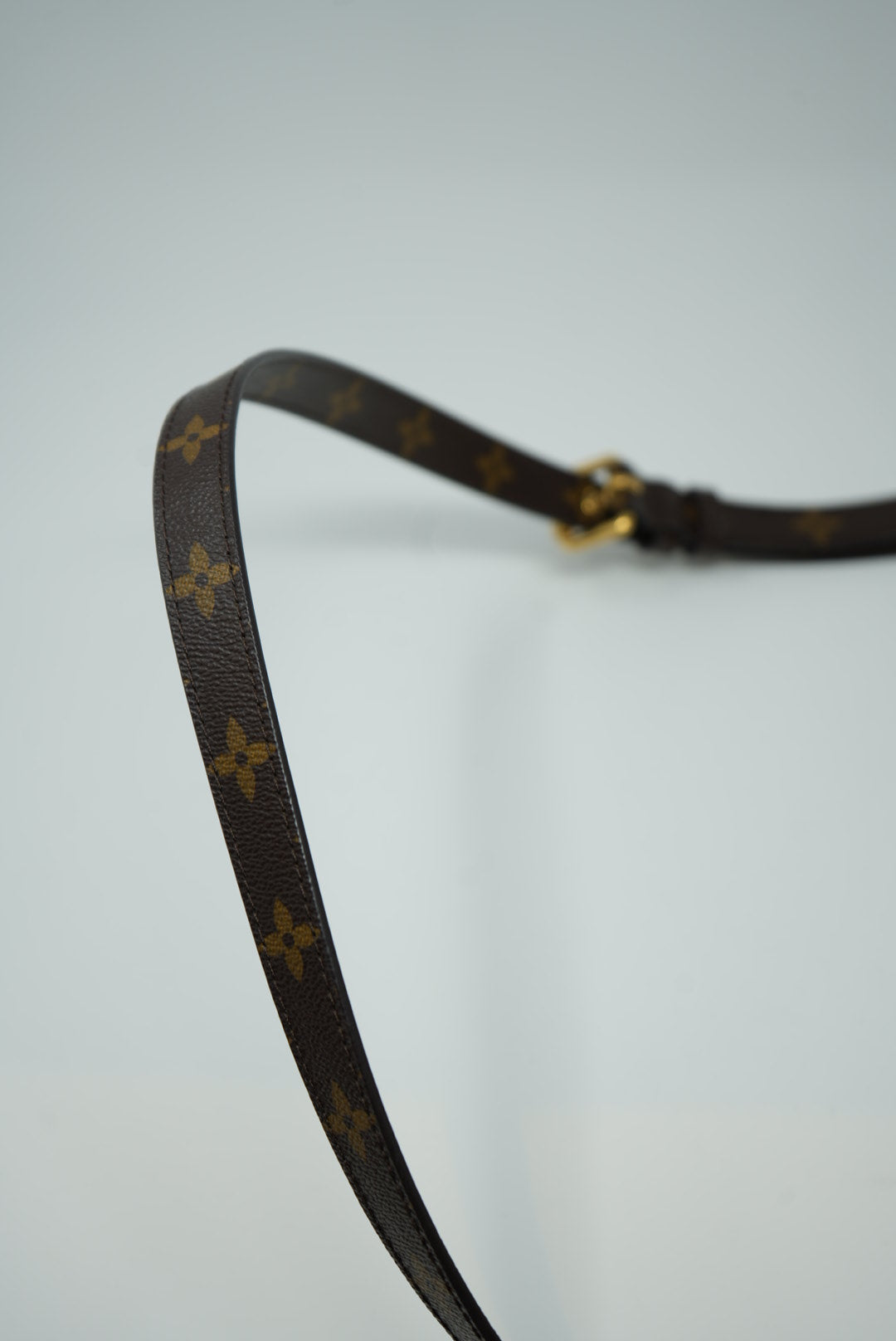 Louis Vuitton Pochette Metis