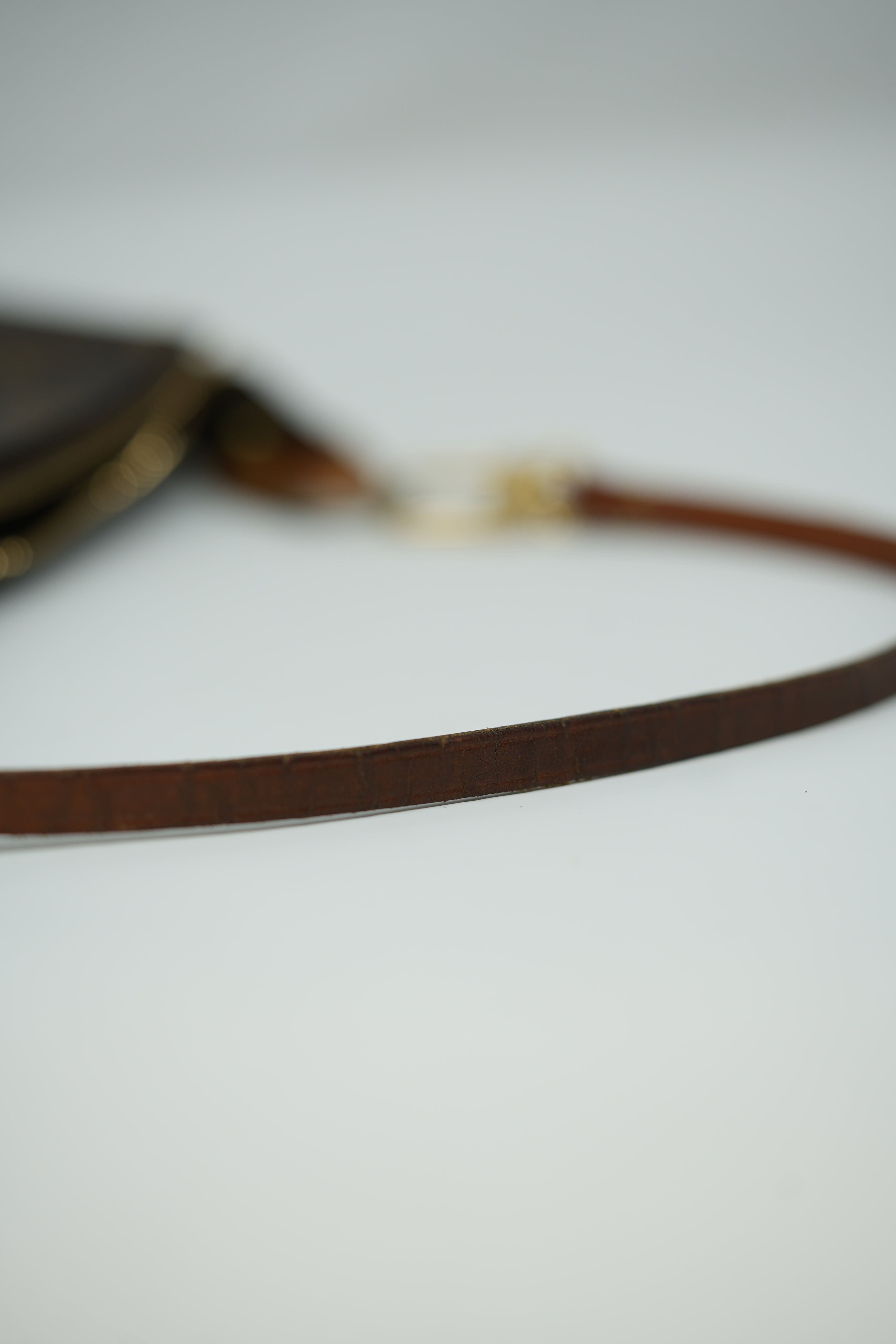 Louis Vuitton Pochette Accessories