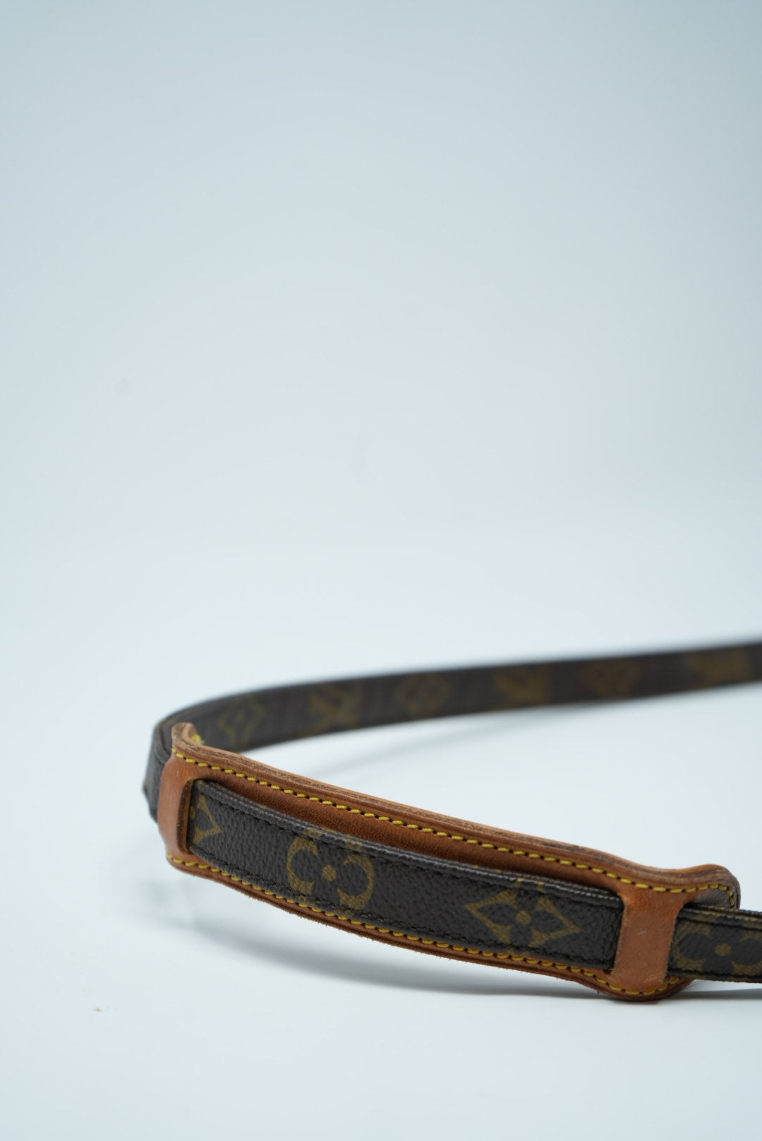 Louis Vuitton Amazon Crossbody Bag
