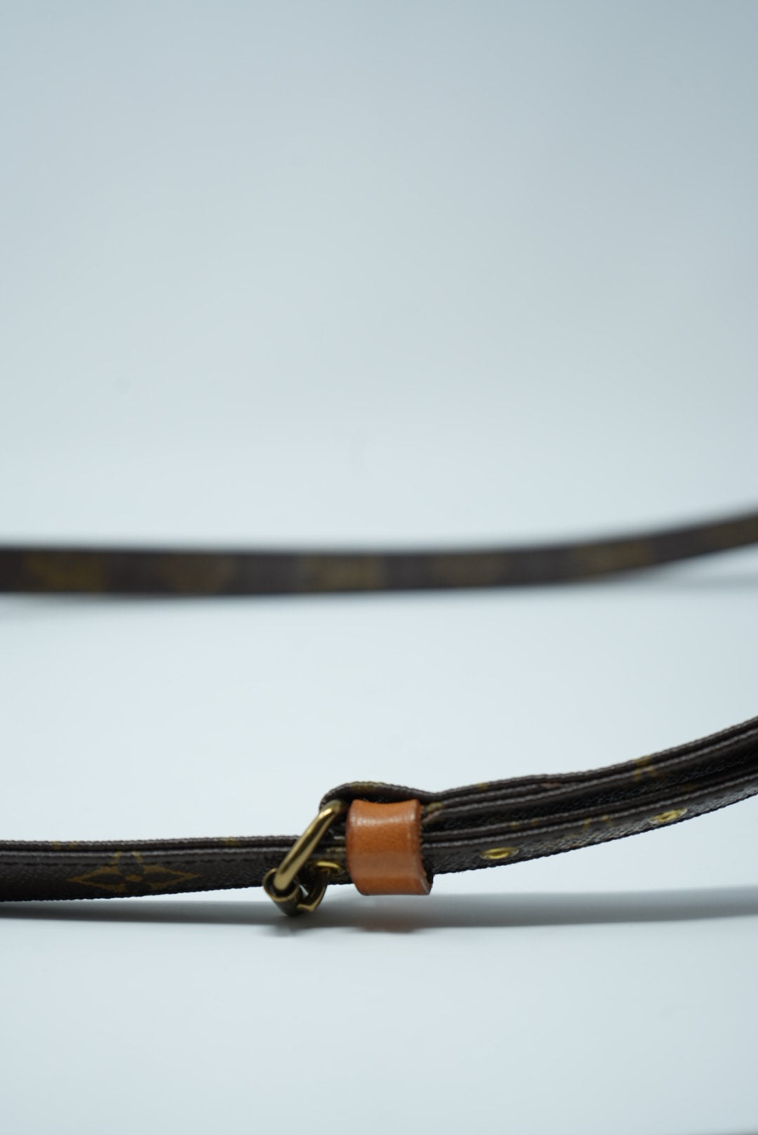 Louis Vuitton Amazon Crossbody Bag