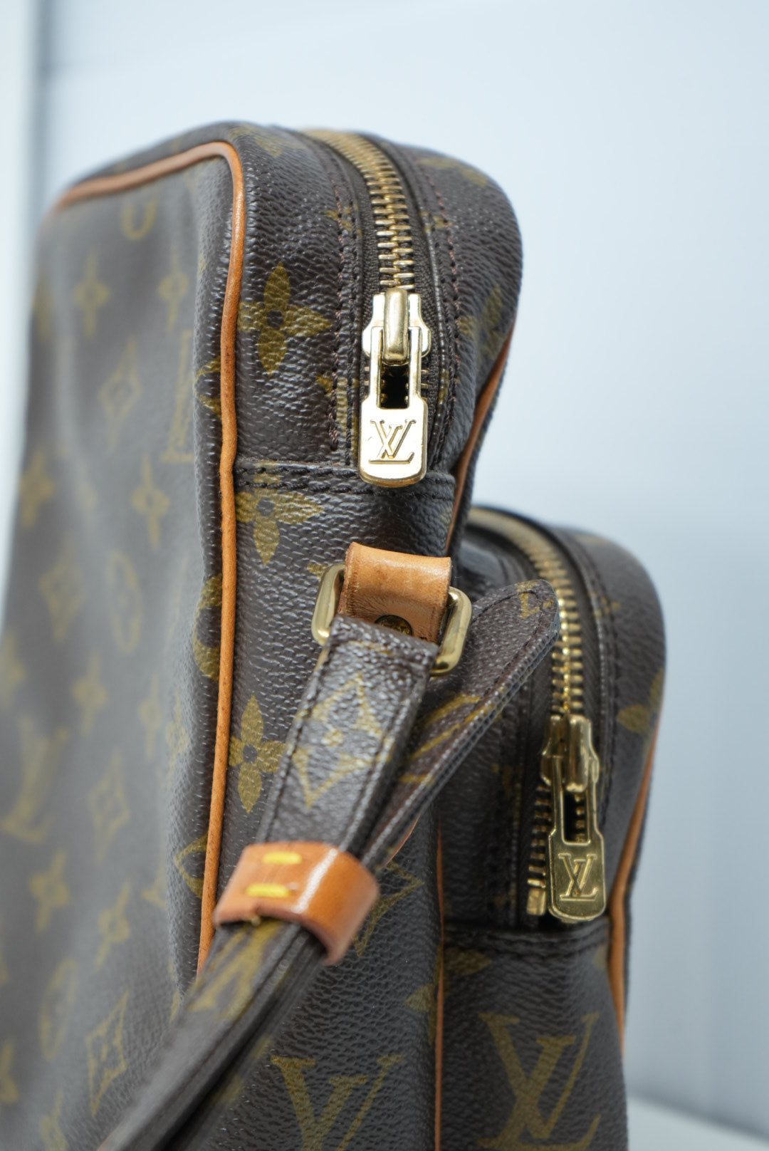 Louis Vuitton Amazon Crossbody Bag
