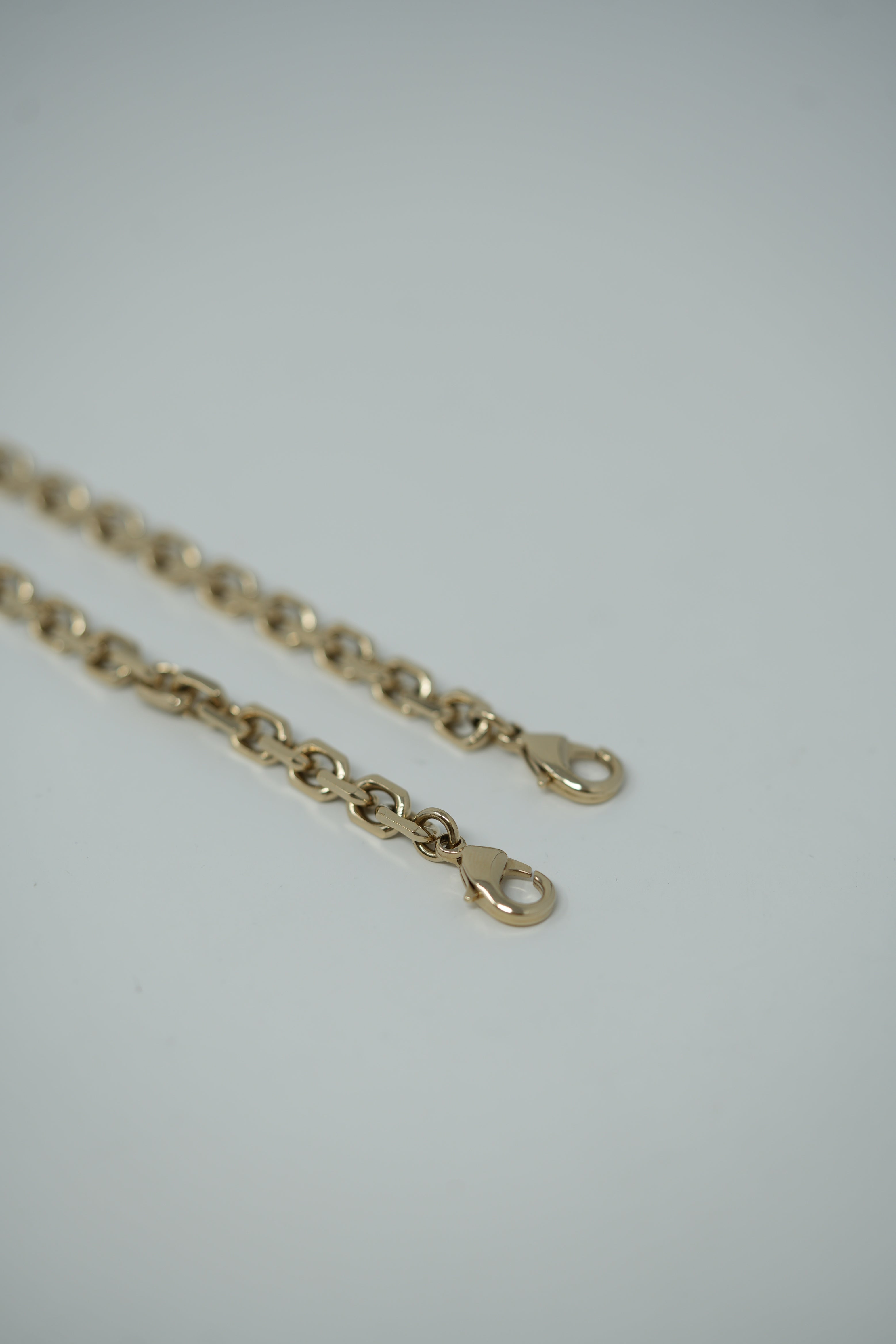 Christian Dior Bag Replacement Chain
