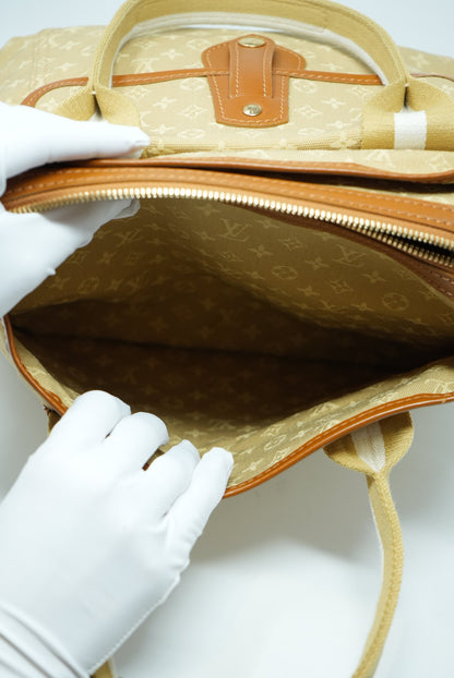 Louis Vuitton Monogram Canvas Handbag
