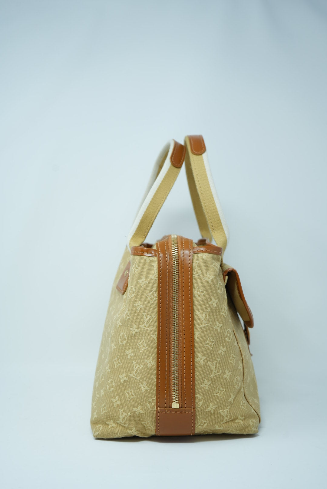 Louis Vuitton Monogram Canvas Handbag