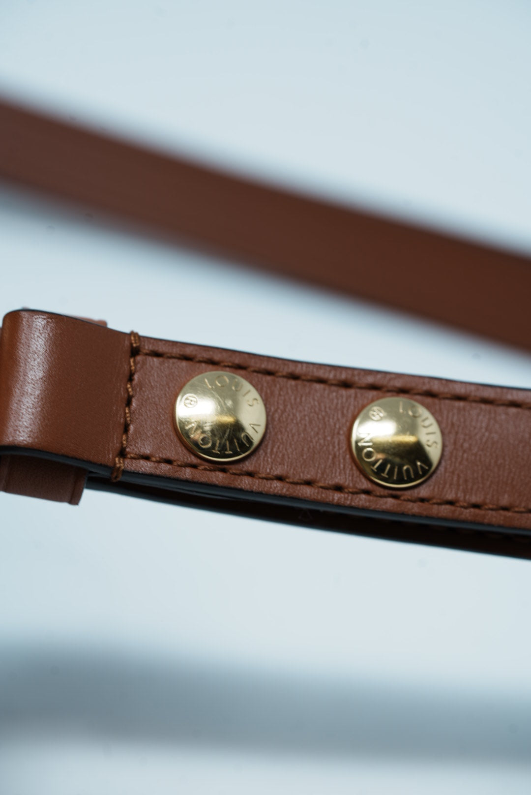 Louis Vuitton Dauphine Mini 2019