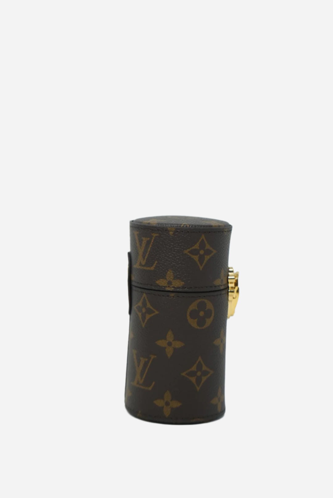 Louis Vuitton Monograme Travel Case