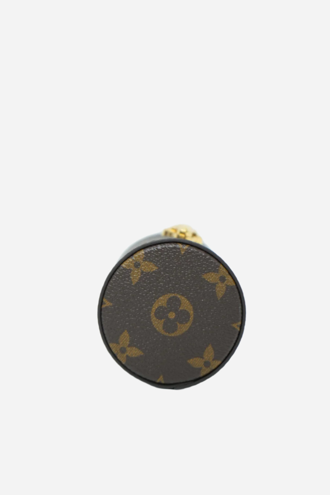 Louis Vuitton Monograme Travel Case