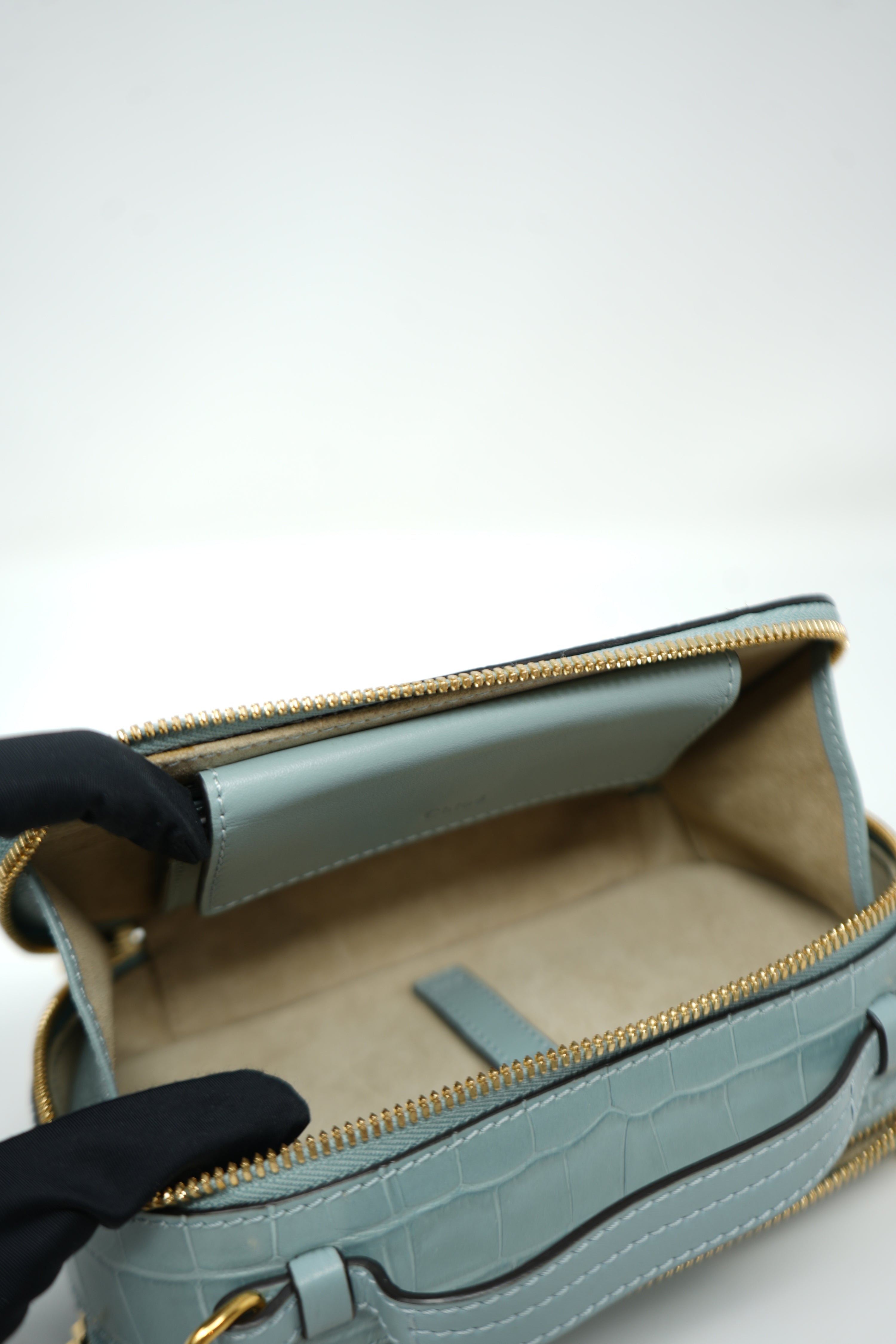 Chloe Crocodile Embossed Vanity Bag