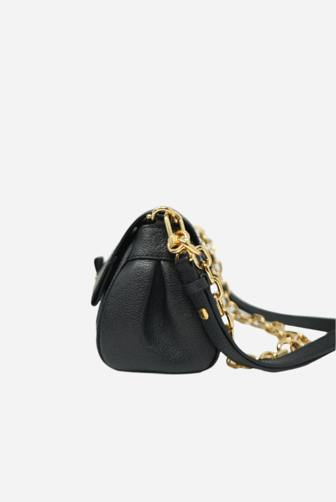 Louis Vuitton Favorite Monogram Leather