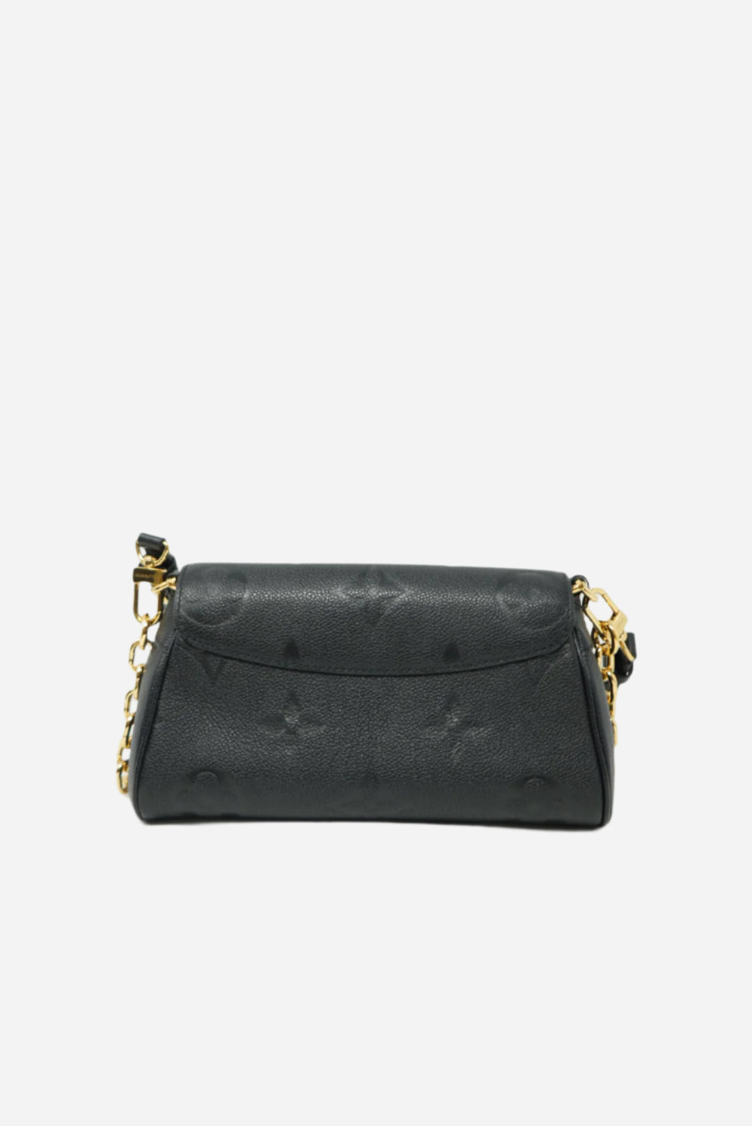 Louis Vuitton Favorite Monogram Leather