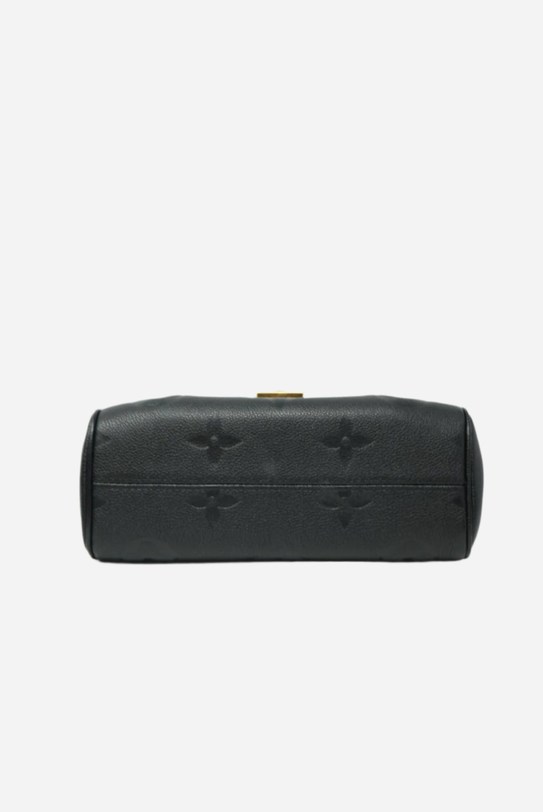 Louis Vuitton Favorite Monogram Leather