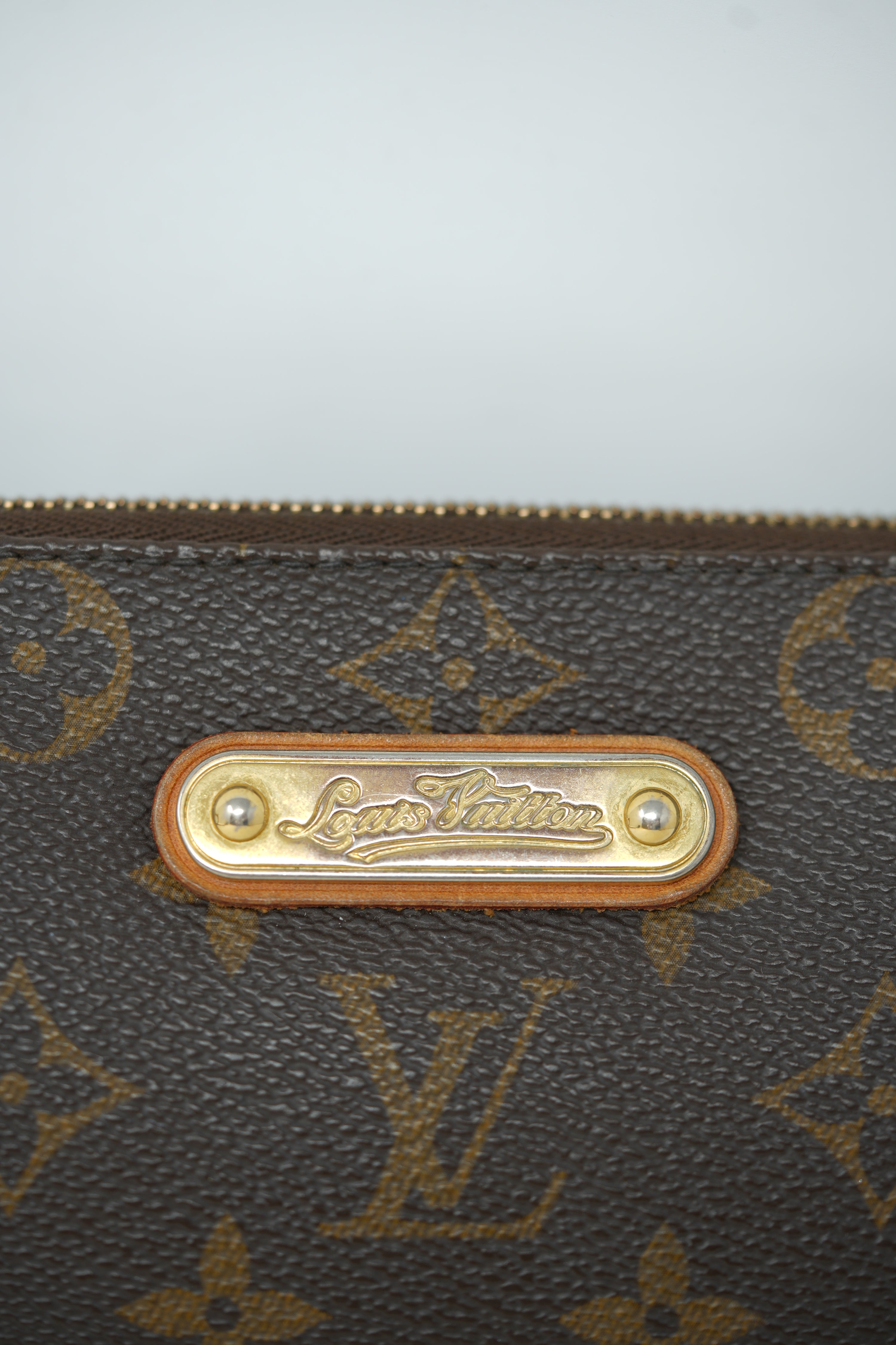 Louis Vuitton Monogram Eva Bag