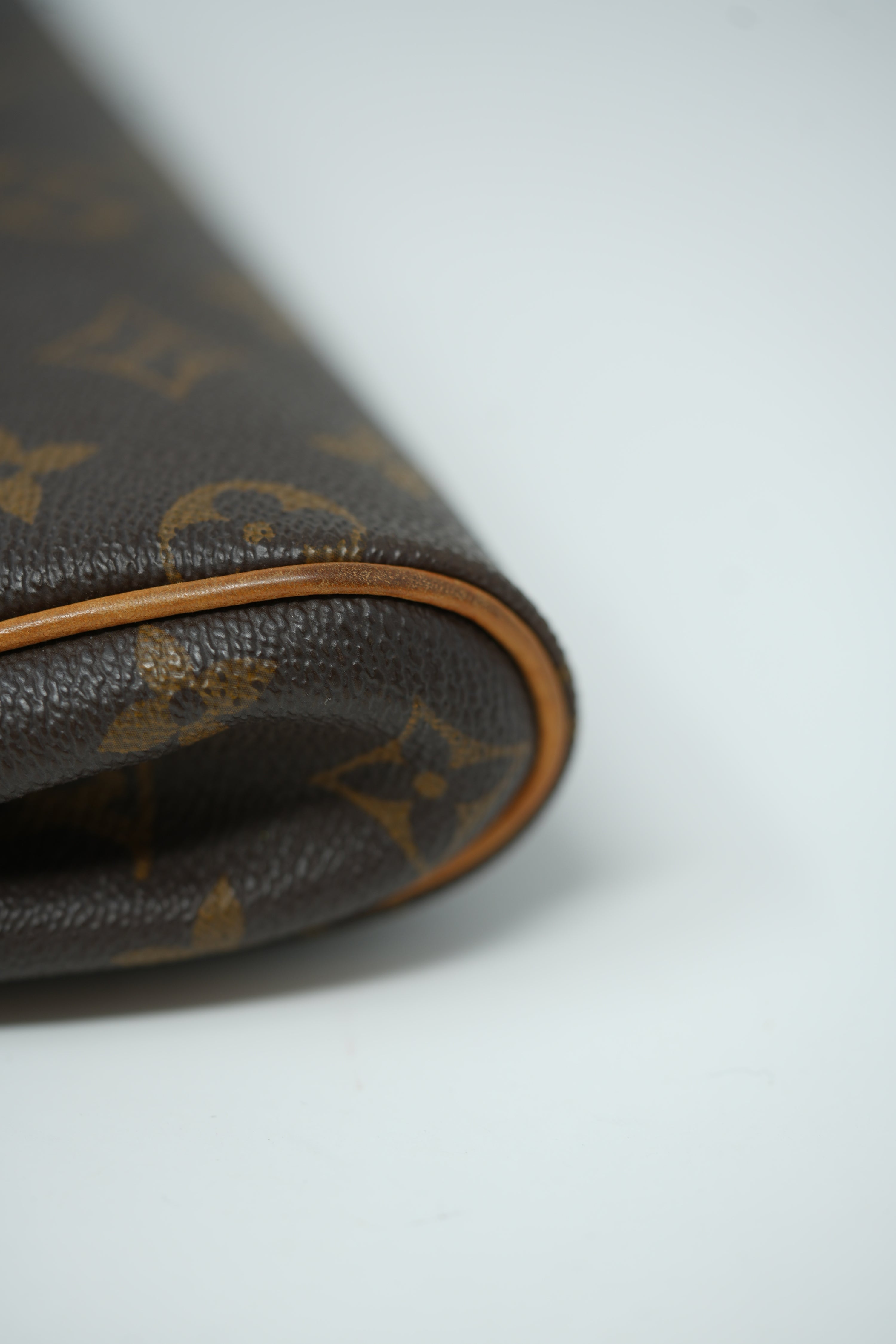 Louis Vuitton Monogram Eva Bag