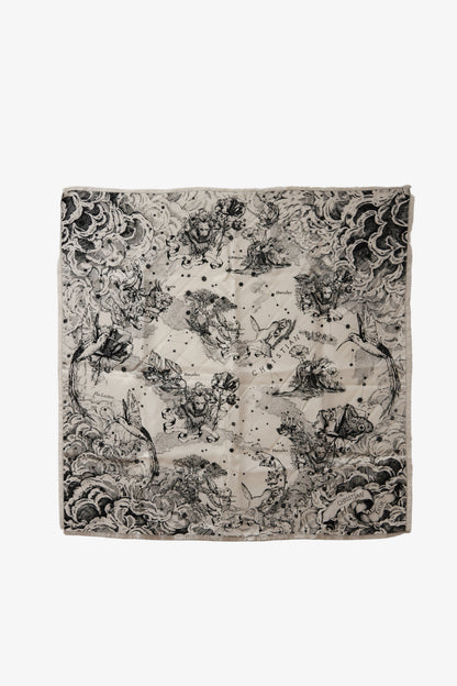 Dior Echarpe en soie Silk Scarf