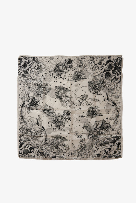 Dior Echarpe en soie Silk Scarf