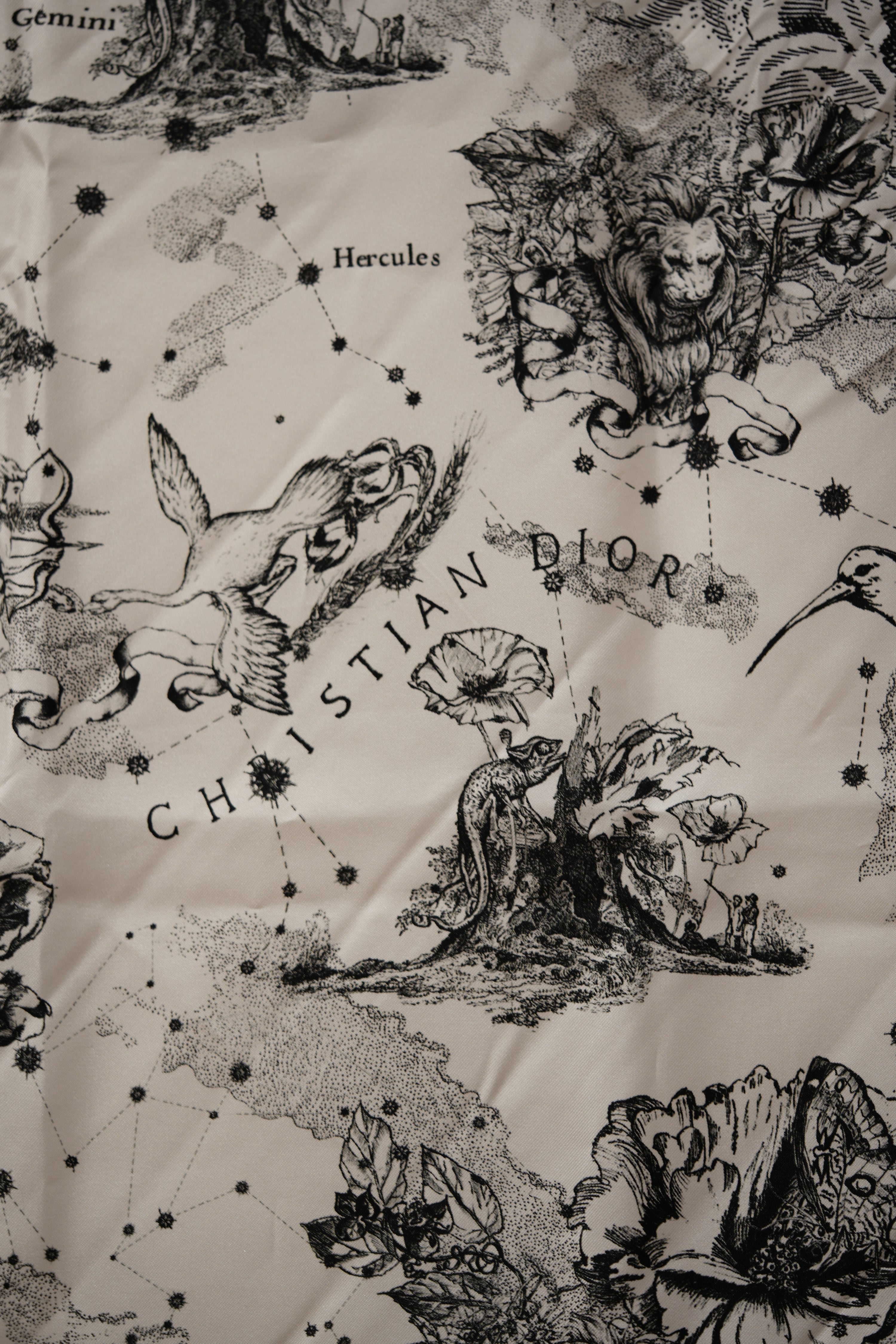 Dior Echarpe en soie Silk Scarf