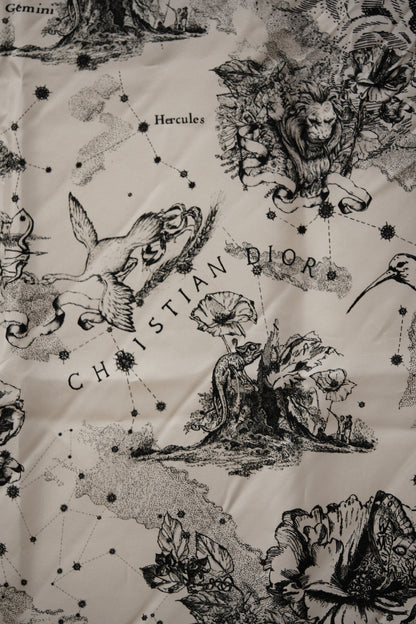 Dior Echarpe en soie Silk Scarf