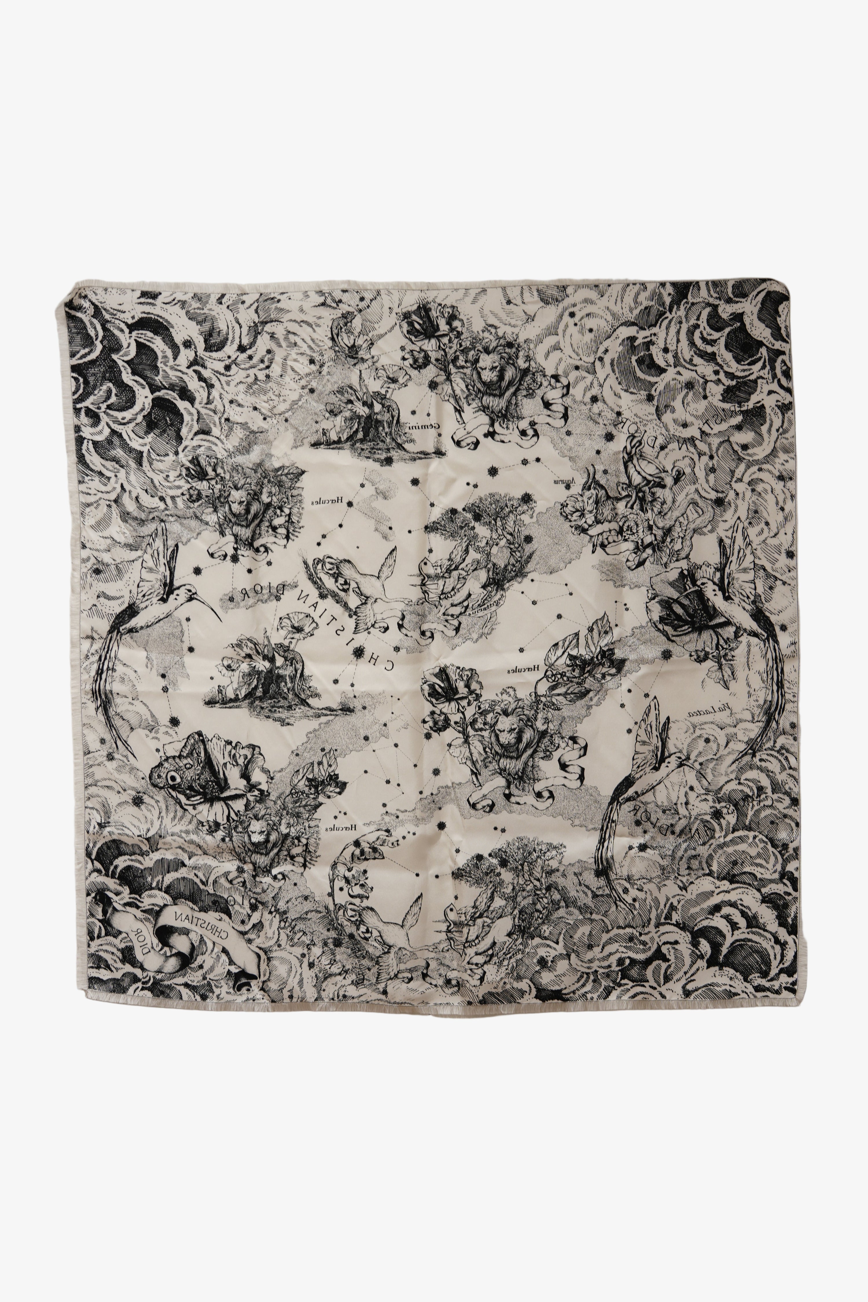 Dior Echarpe en soie Silk Scarf