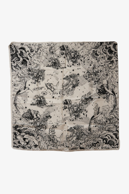 Dior Echarpe en soie Silk Scarf
