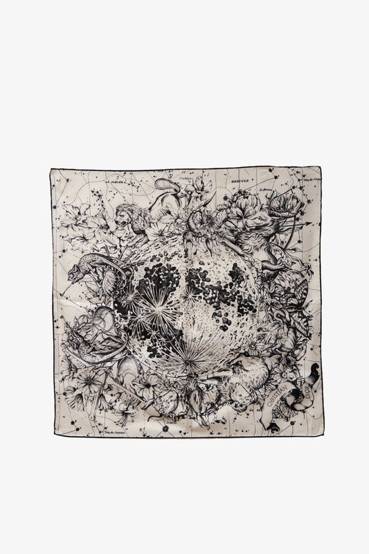 Christian Dior Silk Scarf “Astrologie Zodiac”