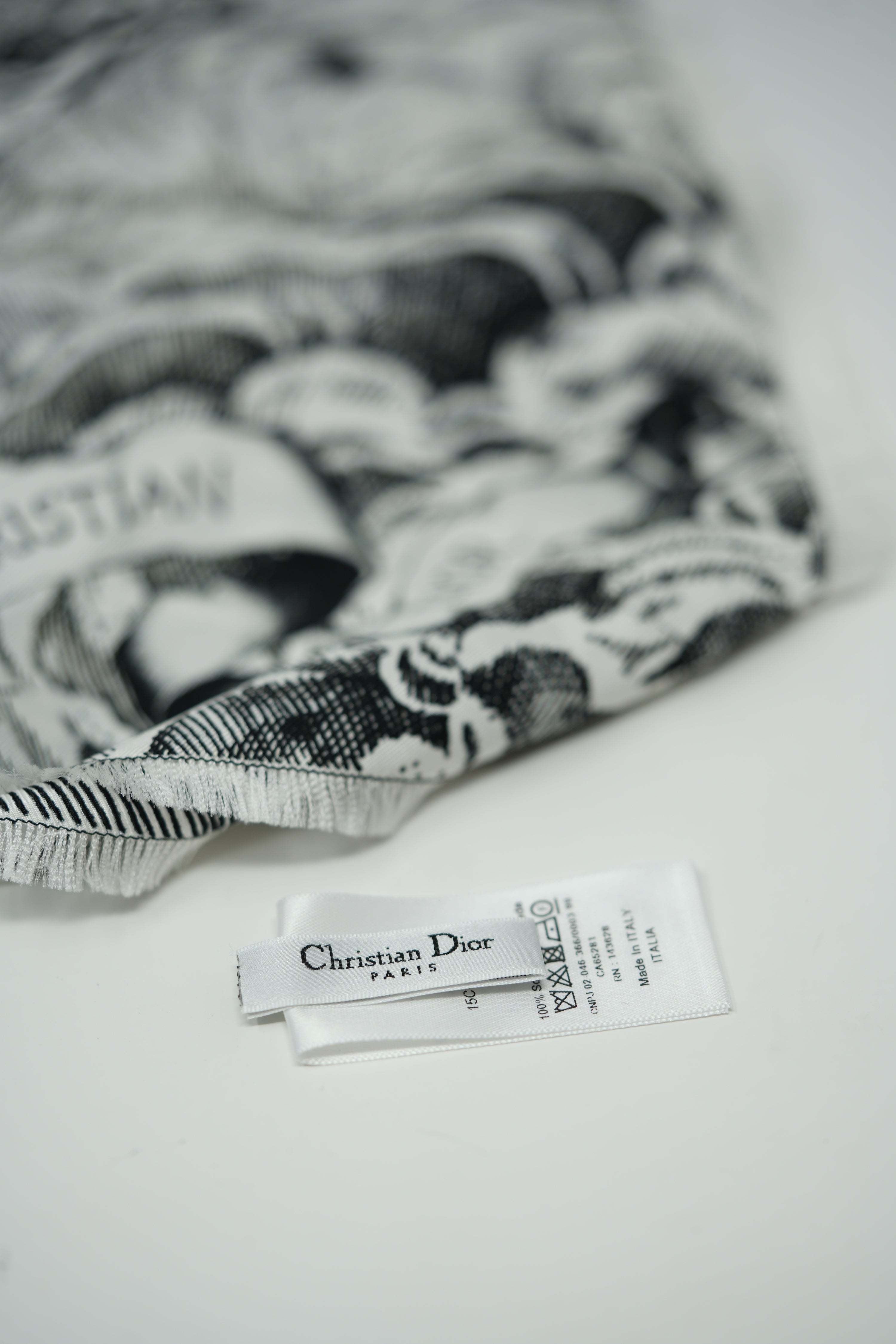 Dior Echarpe en soie Silk Scarf